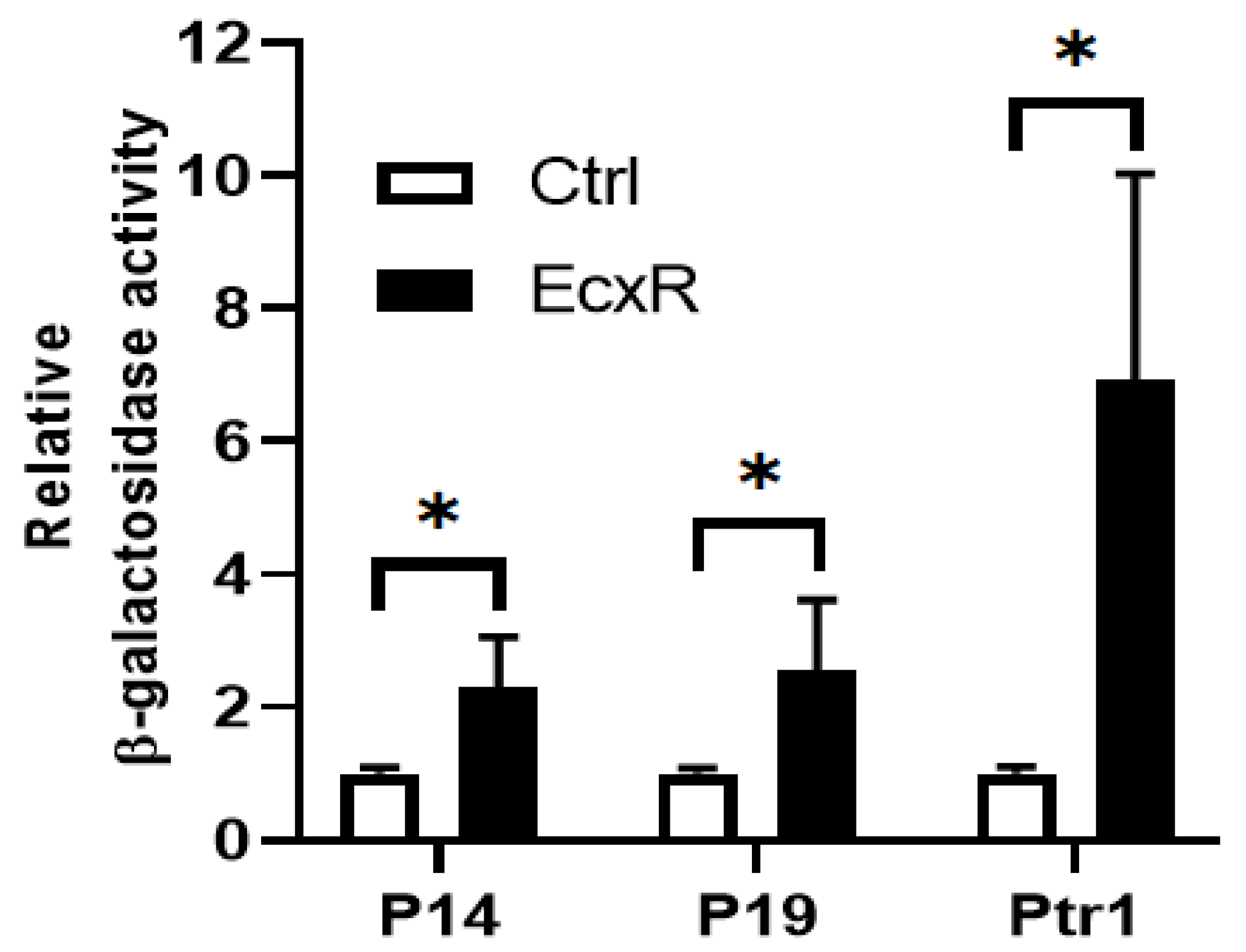 Ijms 23 12719 g005 Ijms 23 12719 g005