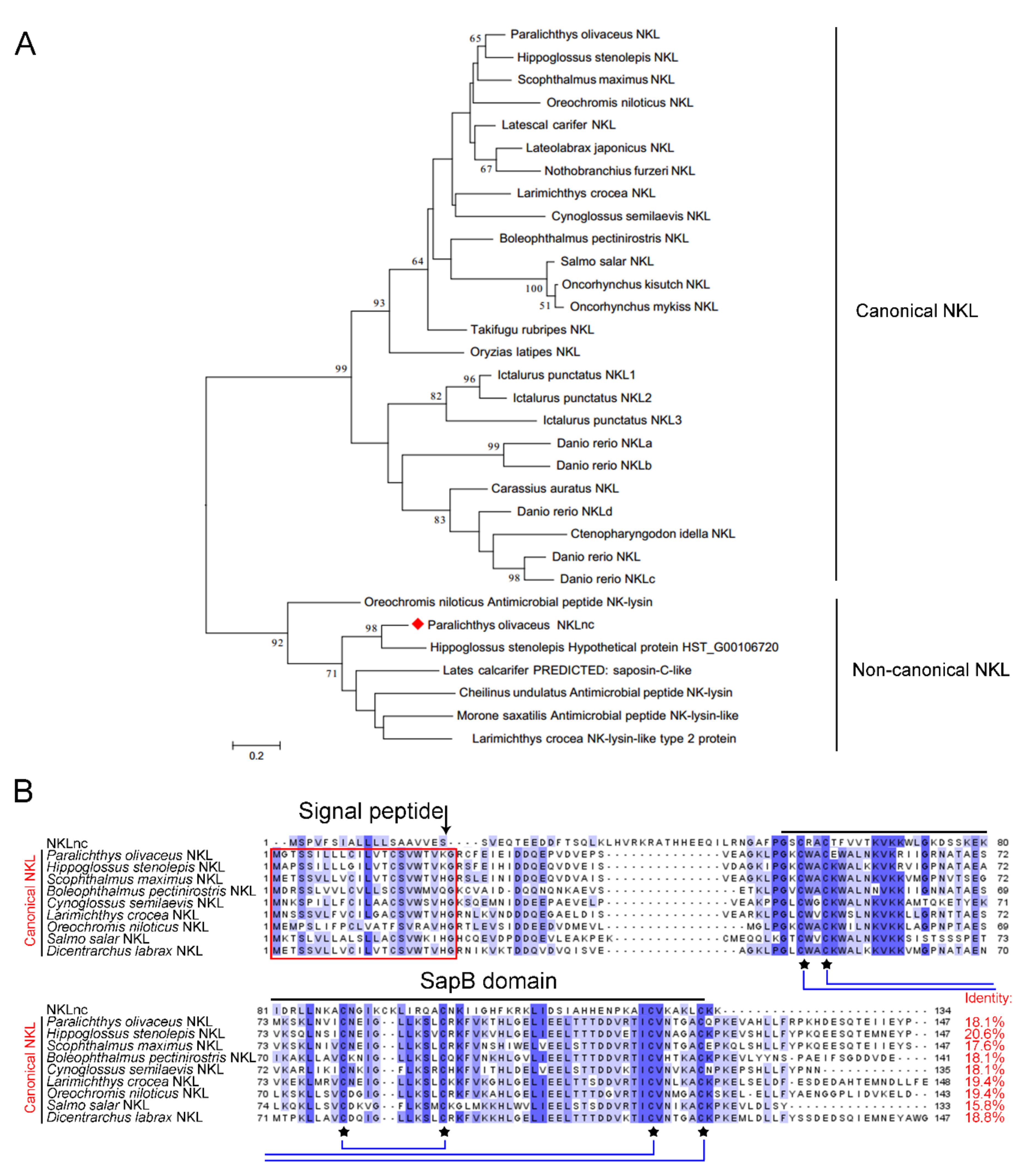 Ijms 23 12722 g001 Ijms 23 12722 g001