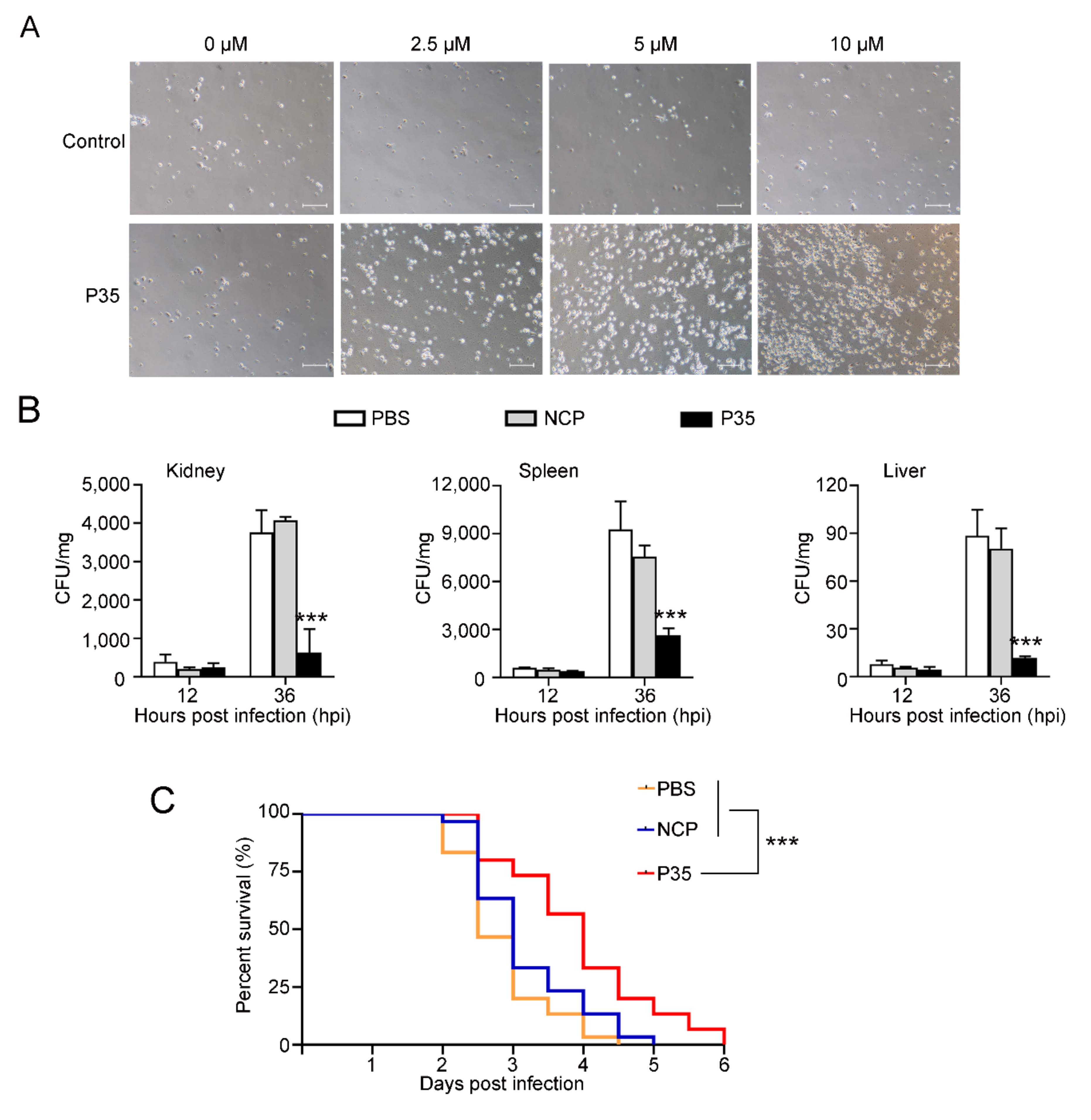 Ijms 23 12722 g006 Ijms 23 12722 g006