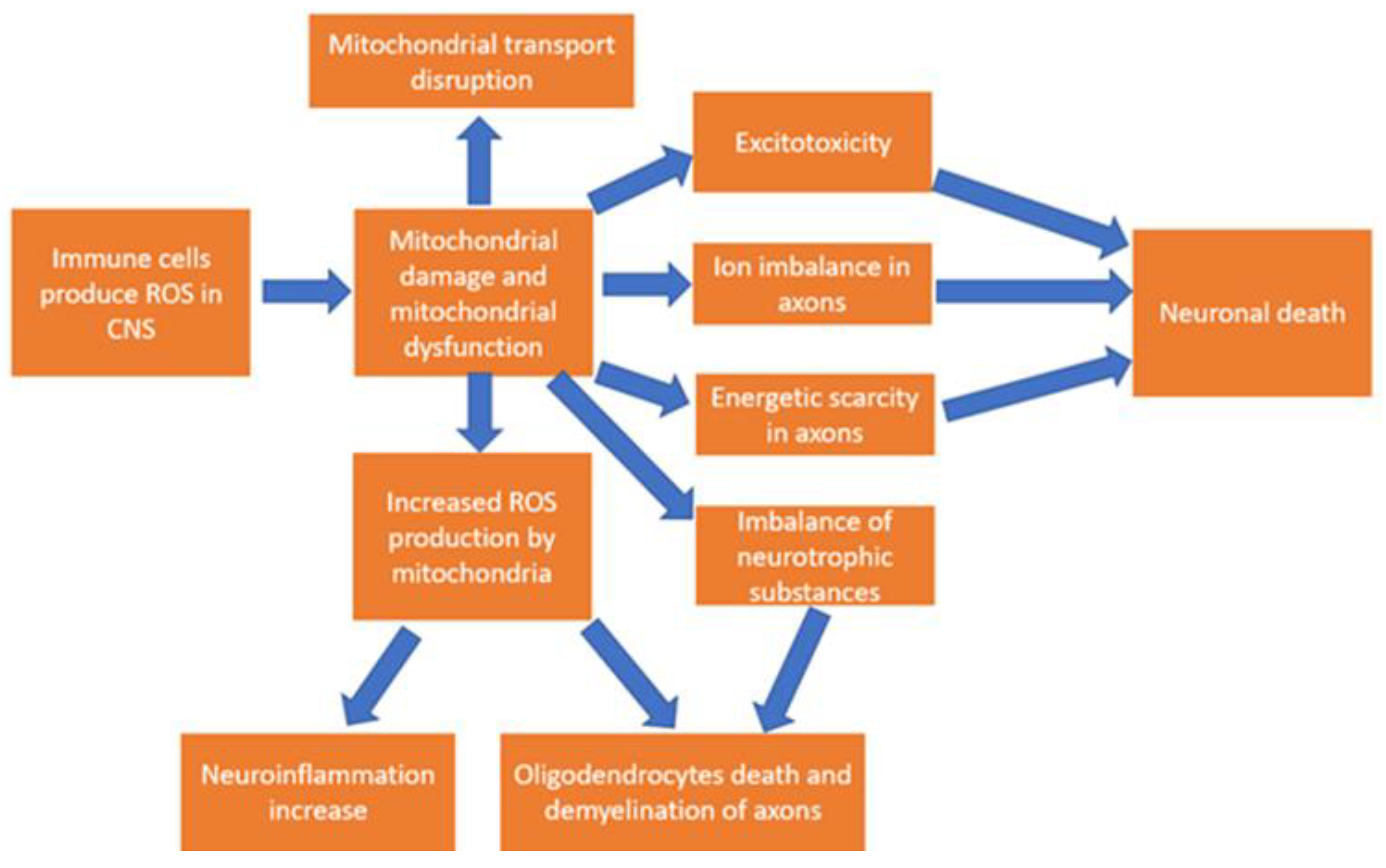 Ijms 23 12725 g002 Ijms 23 12725 g002