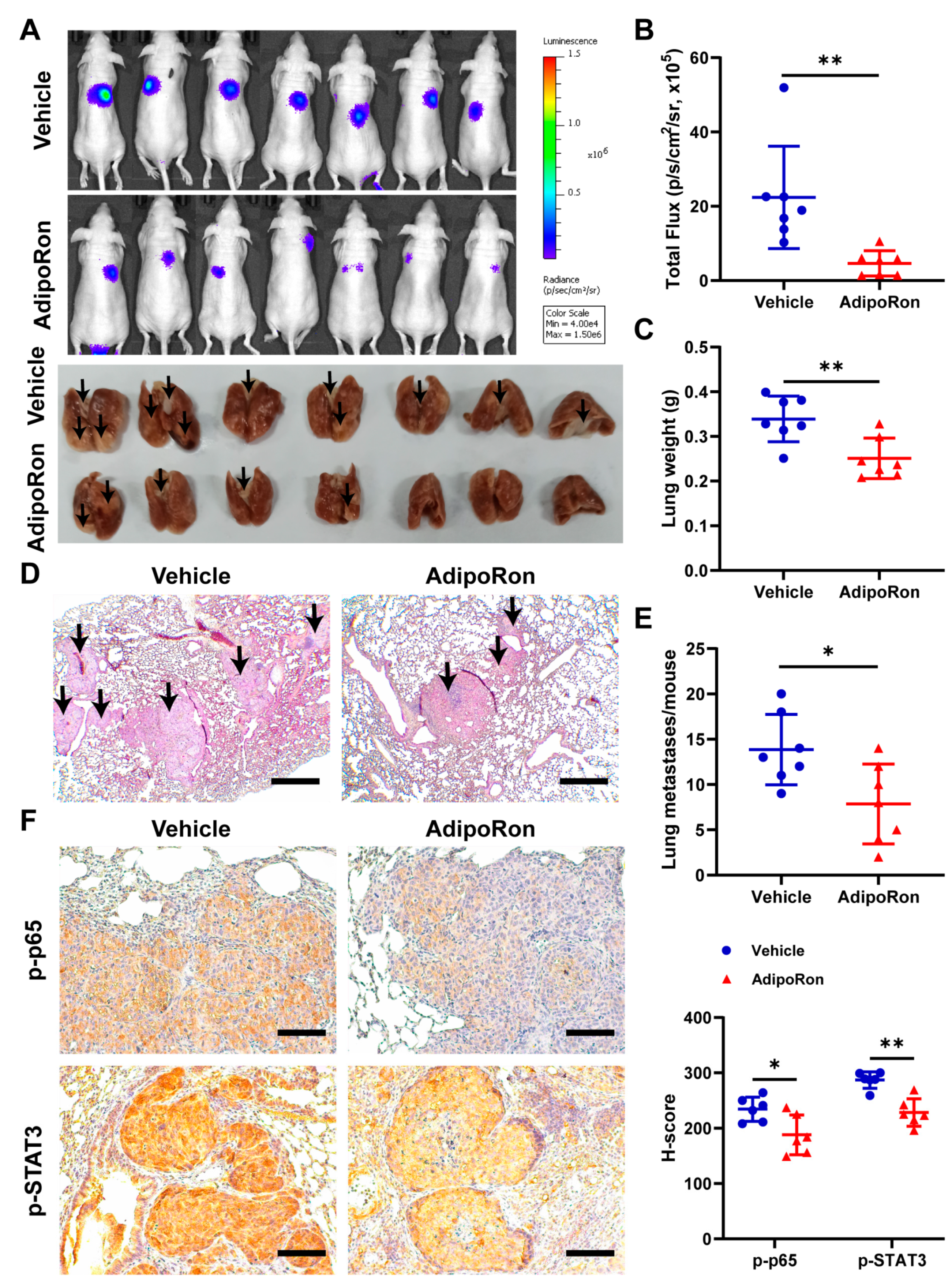 Ijms 23 12729 g007 Ijms 23 12729 g007