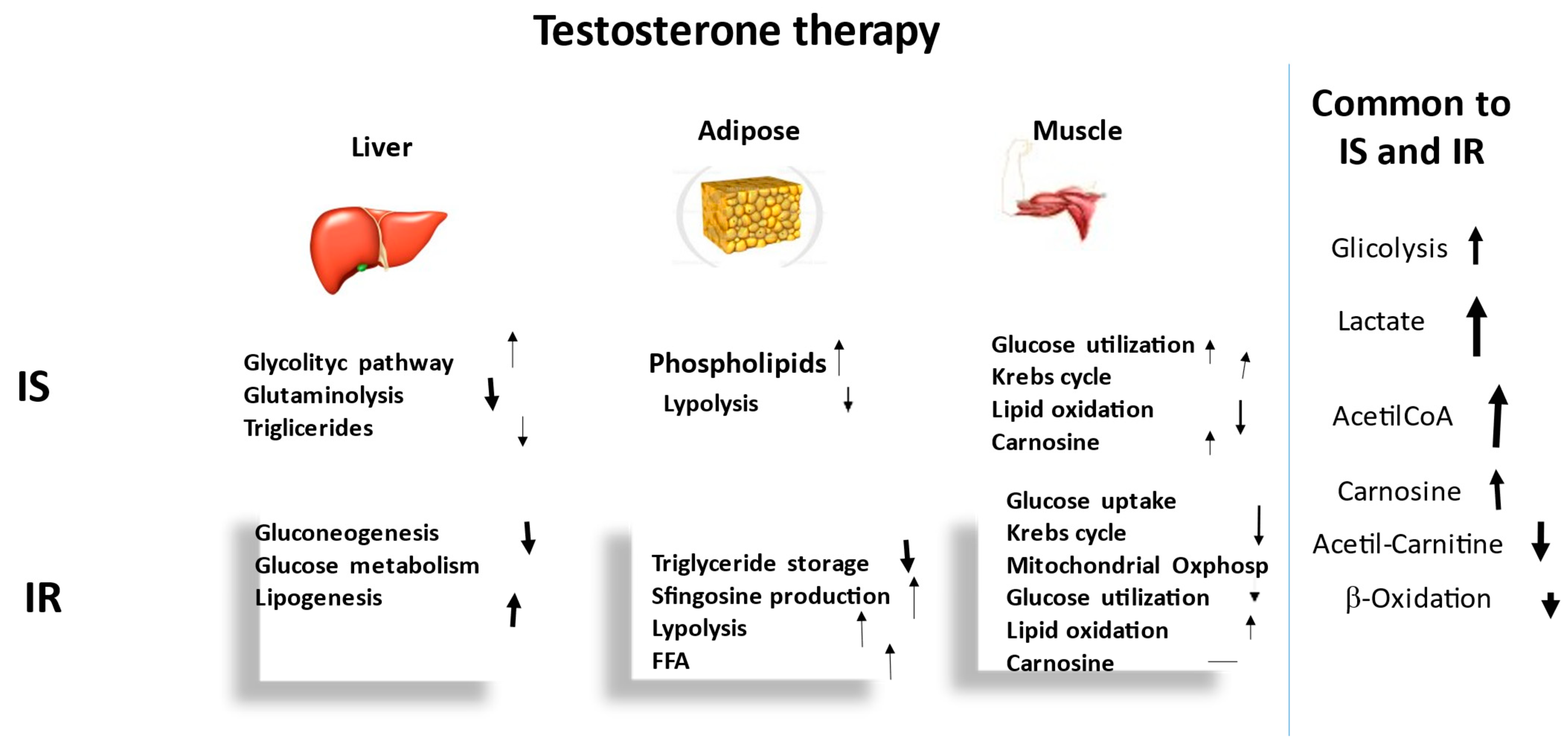 Ijms 23 12730 g005 Ijms 23 12730 g005