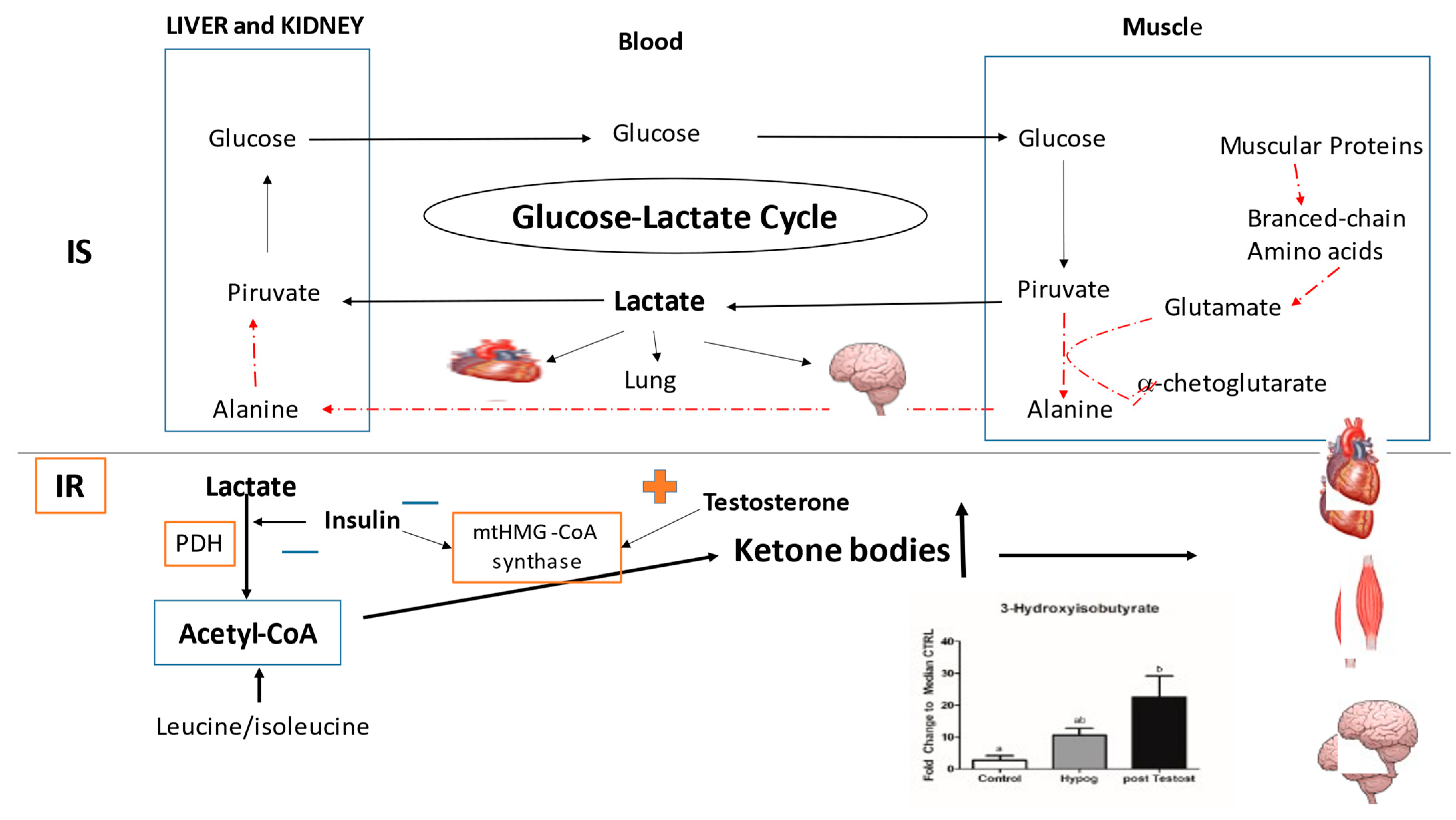 Ijms 23 12730 g006 Ijms 23 12730 g006