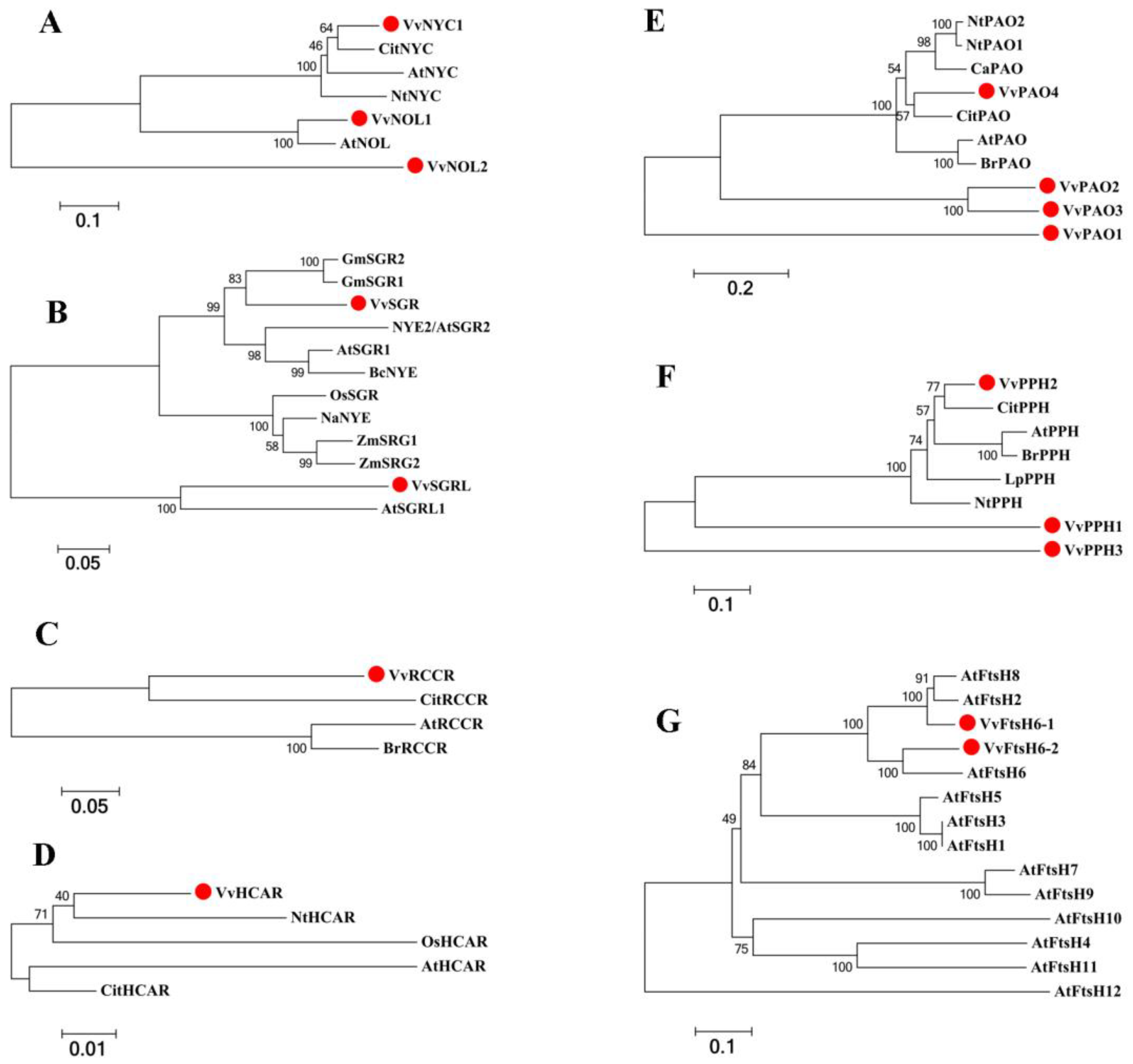 Ijms 23 12731 g002 Ijms 23 12731 g002