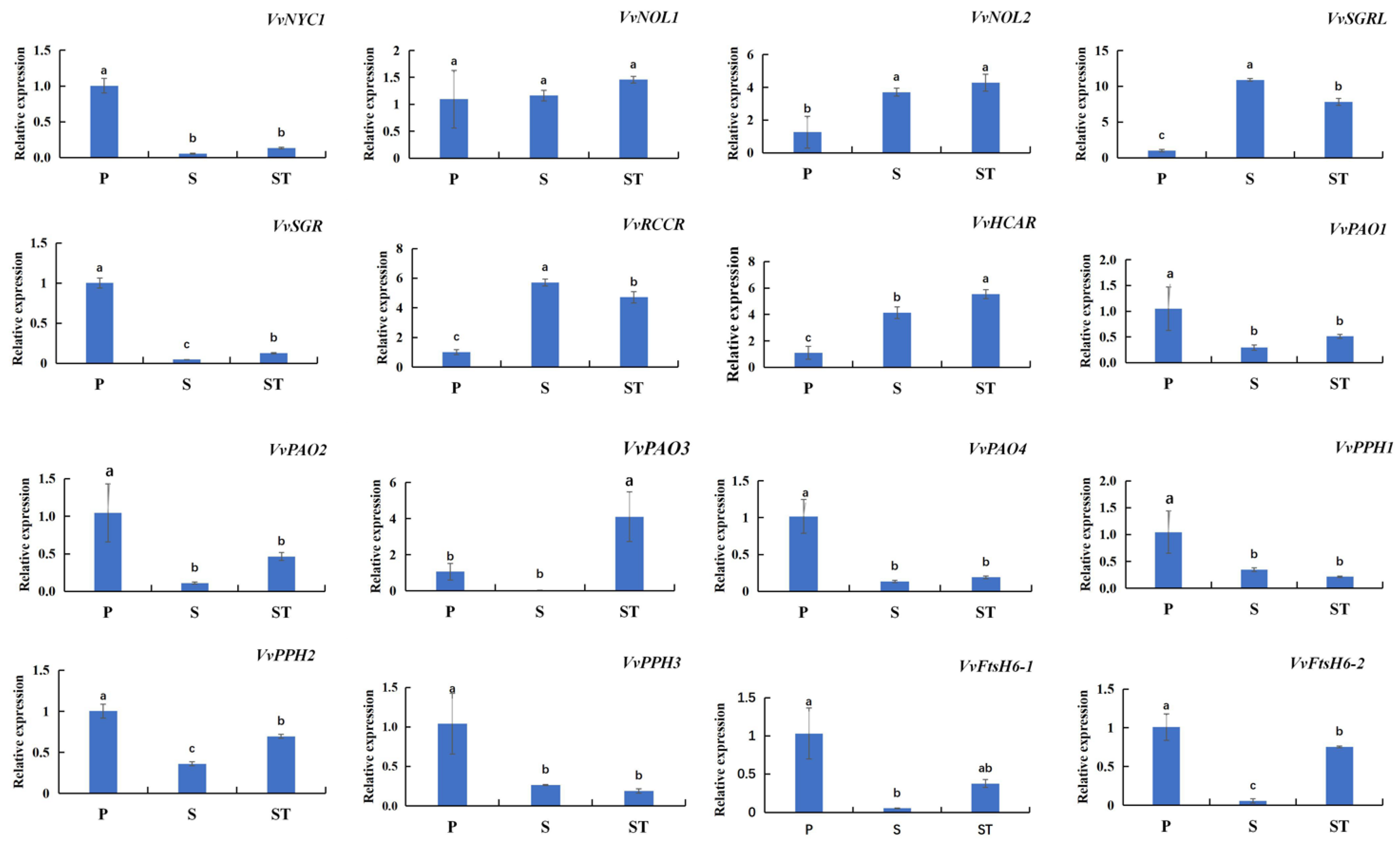 Ijms 23 12731 g003 Ijms 23 12731 g003