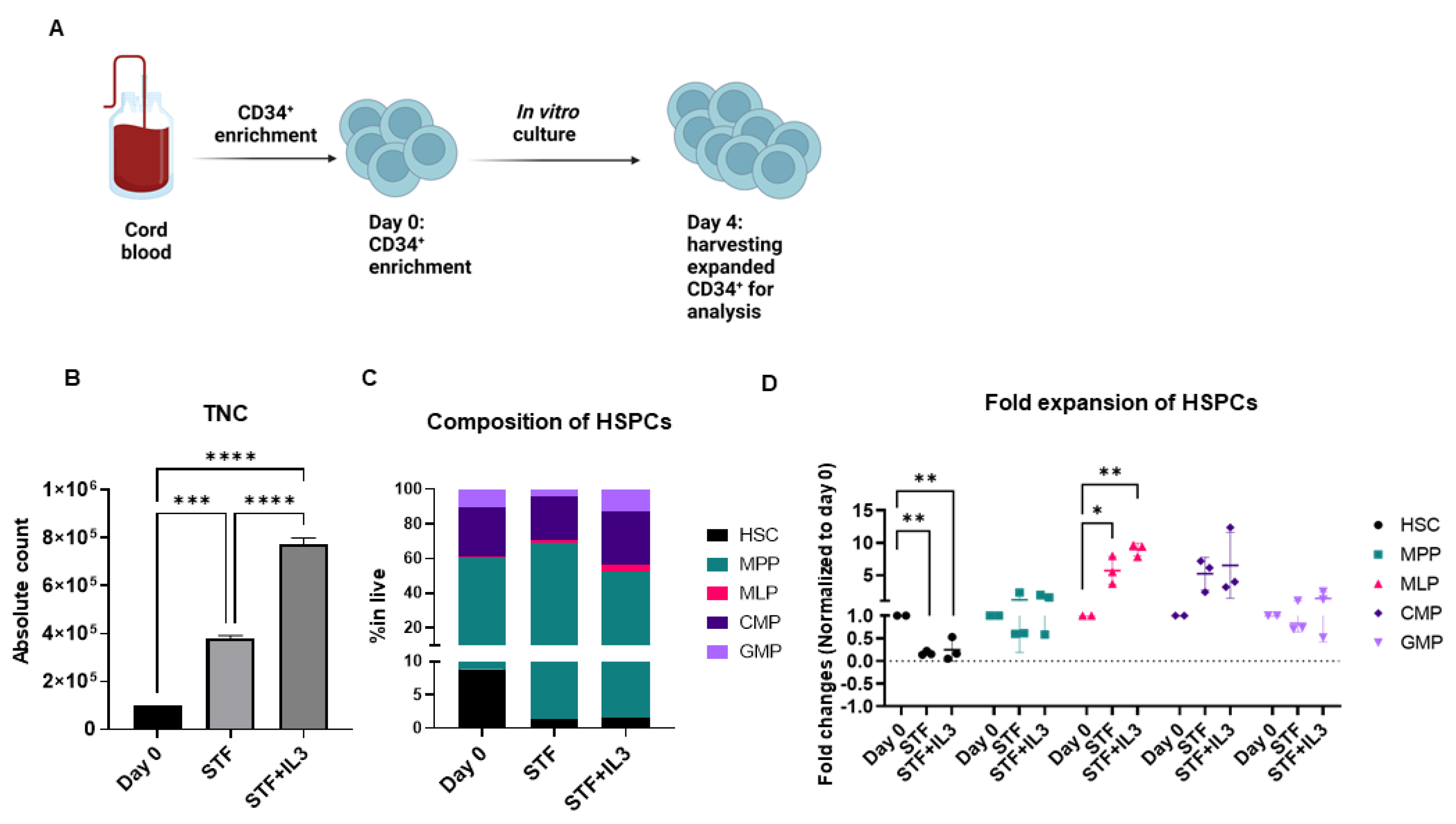 Ijms 23 12736 g001 Ijms 23 12736 g001