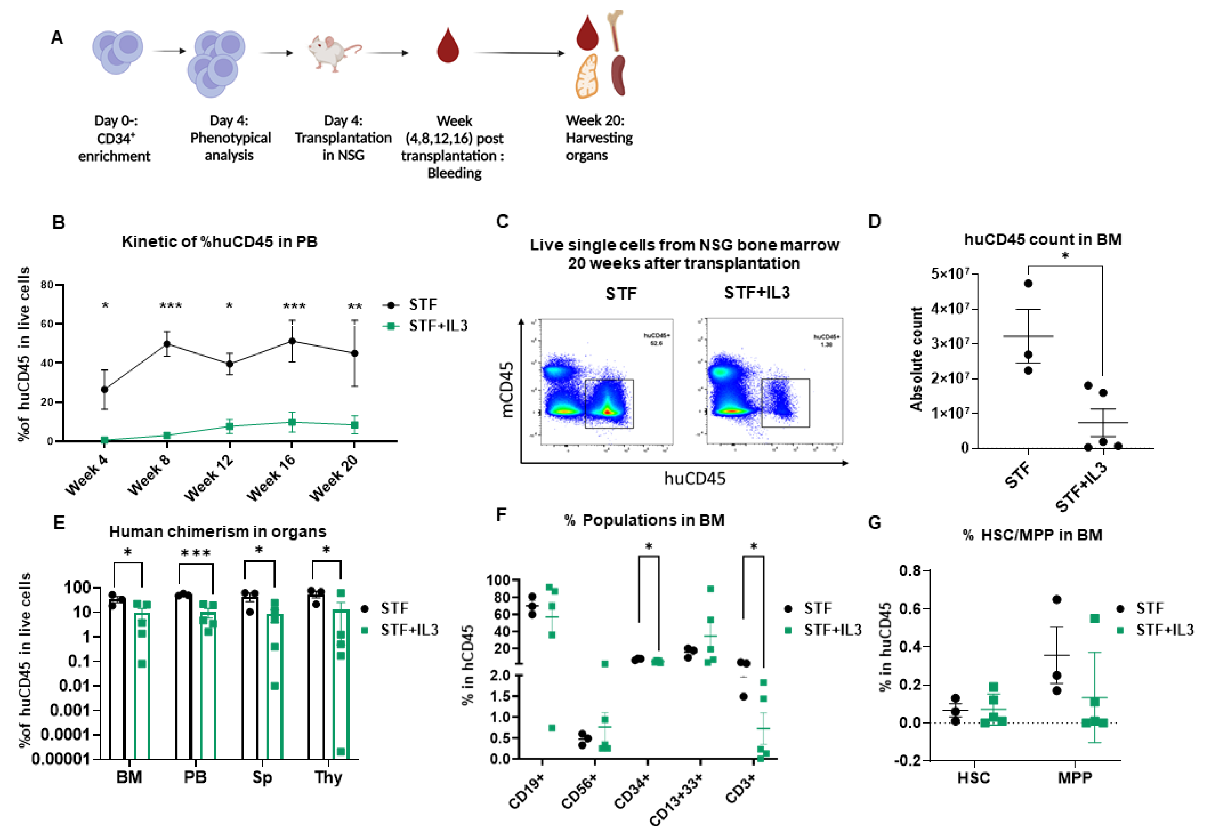 Ijms 23 12736 g002 Ijms 23 12736 g002