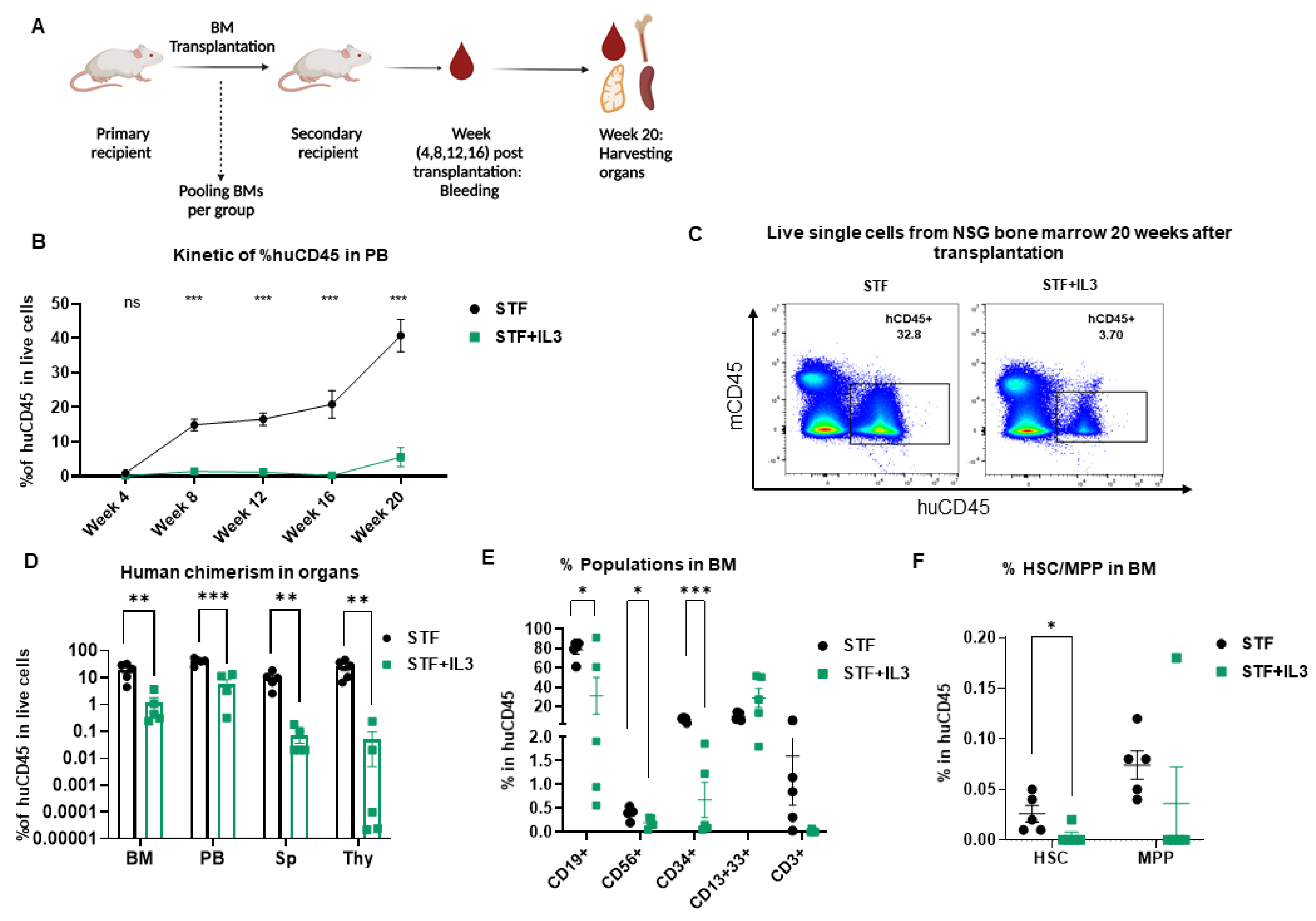 Ijms 23 12736 g003 Ijms 23 12736 g003