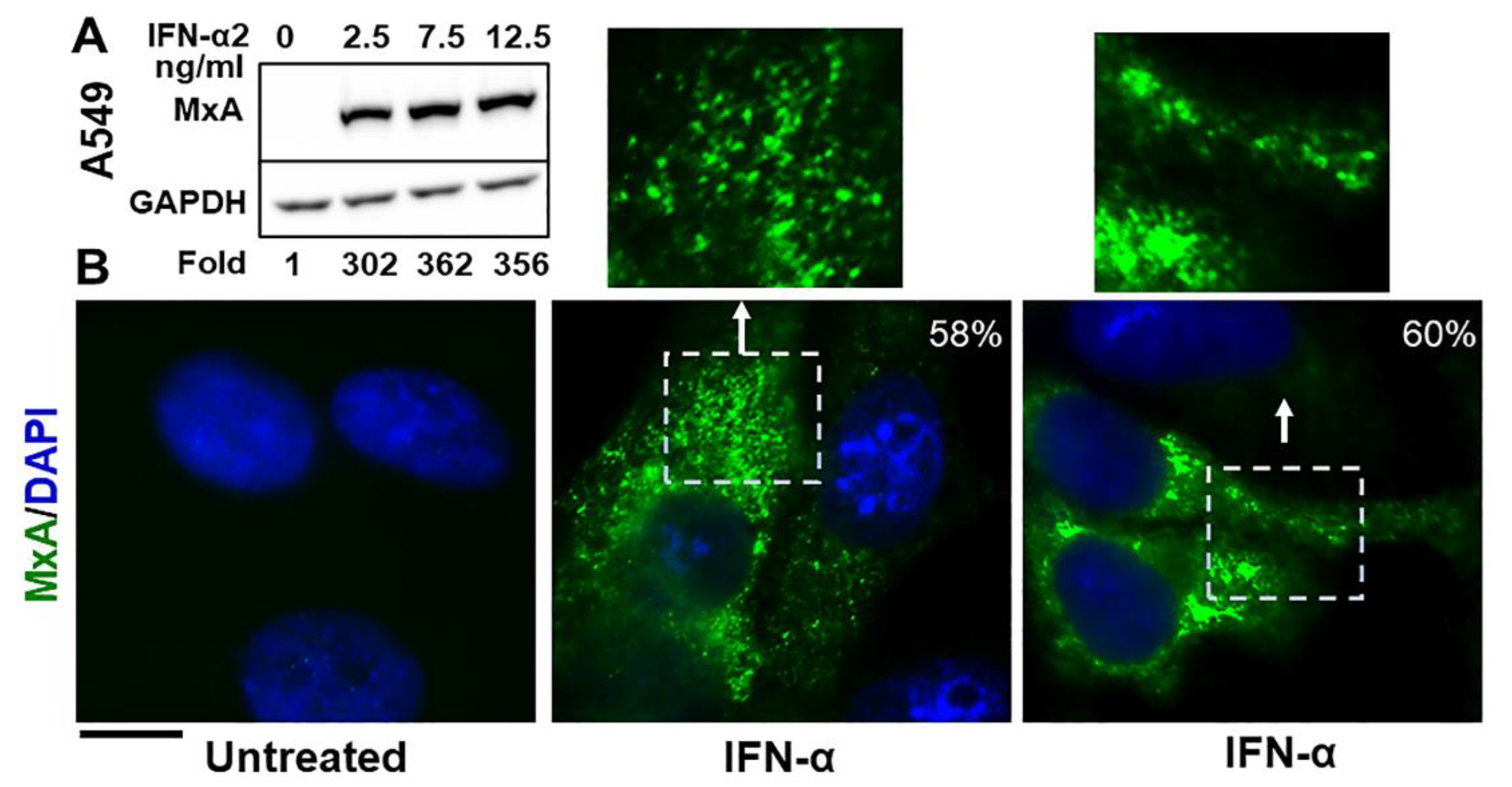 Ijms 23 12739 g001 Ijms 23 12739 g001