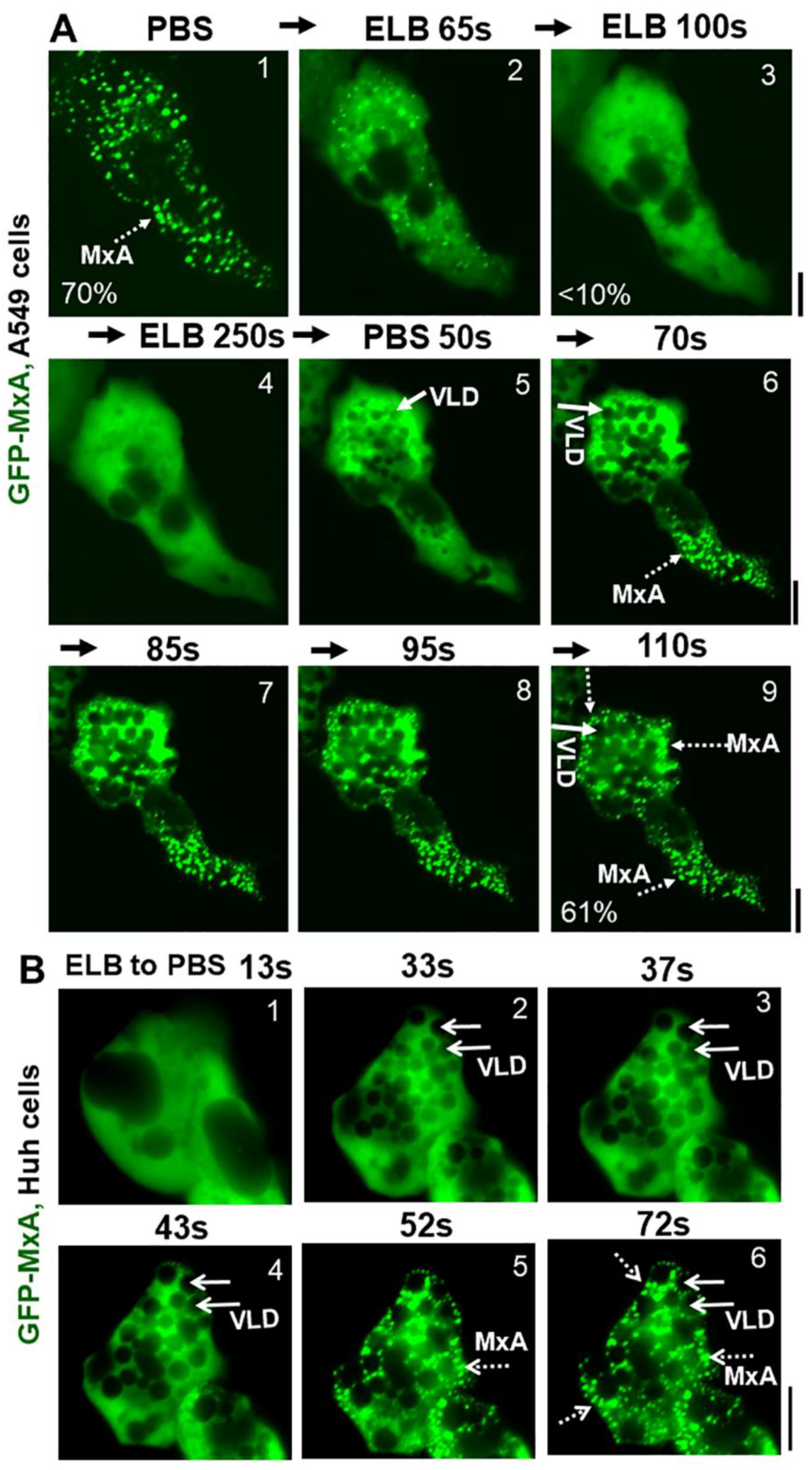 Ijms 23 12739 g003 Ijms 23 12739 g003