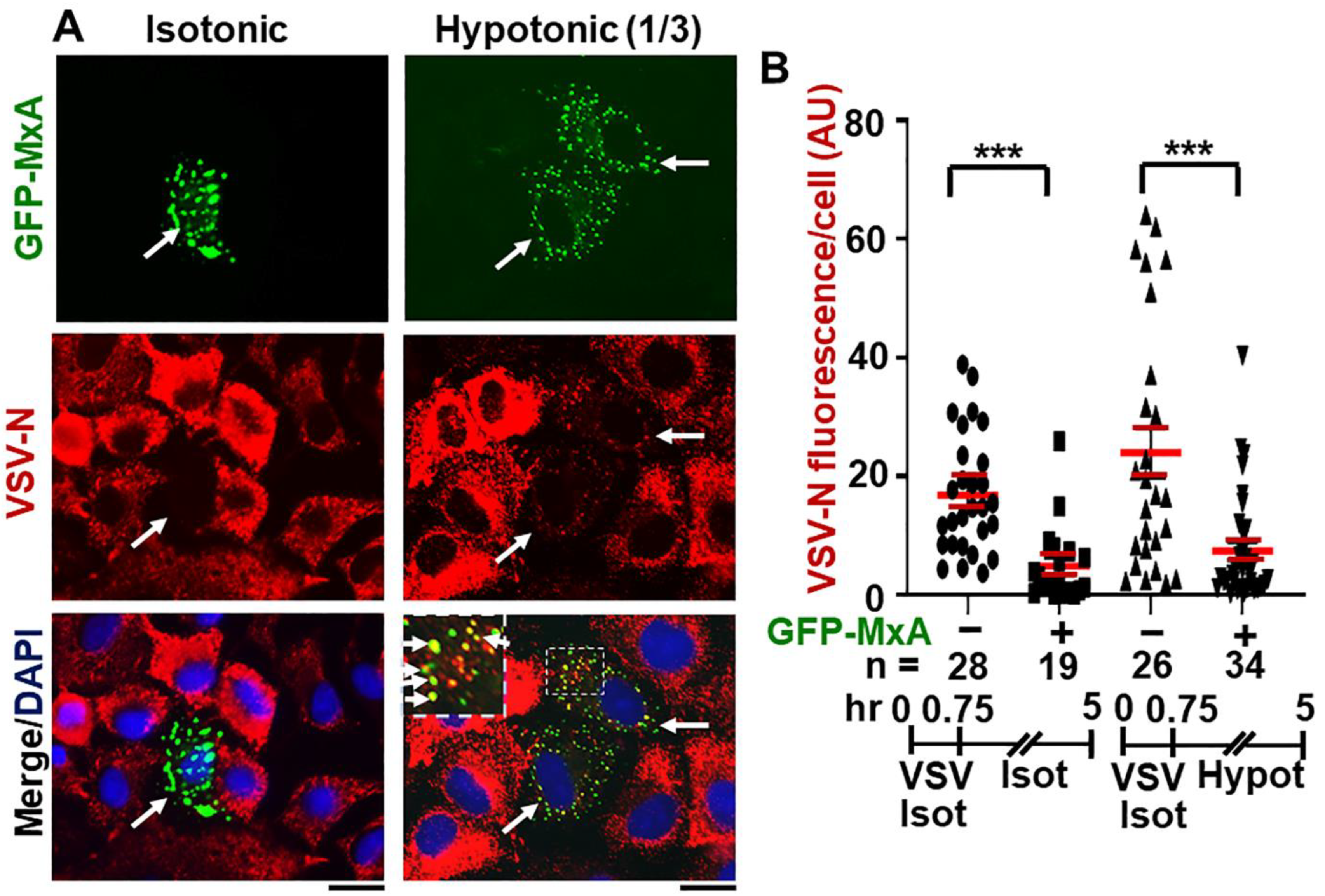 Ijms 23 12739 g009 Ijms 23 12739 g009