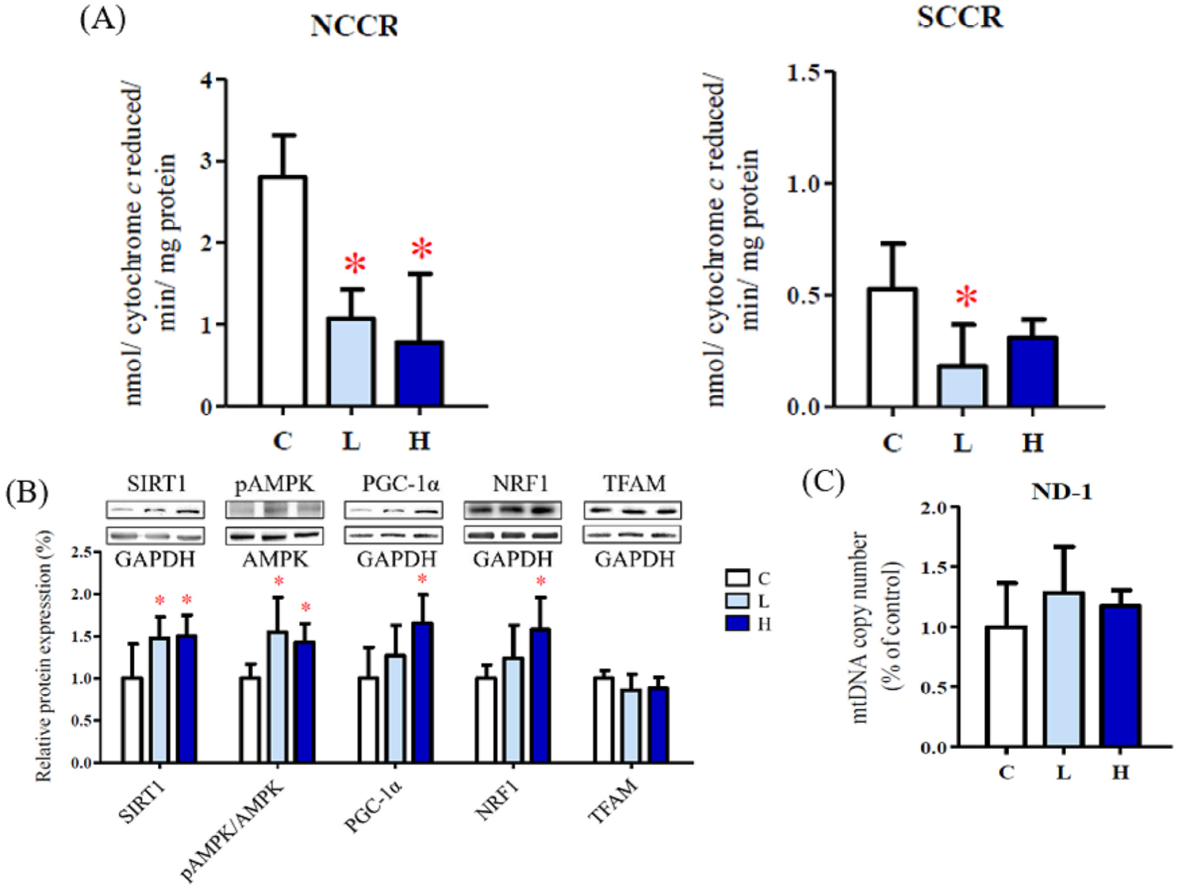 Ijms 23 12740 g003a Ijms 23 12740 g003a