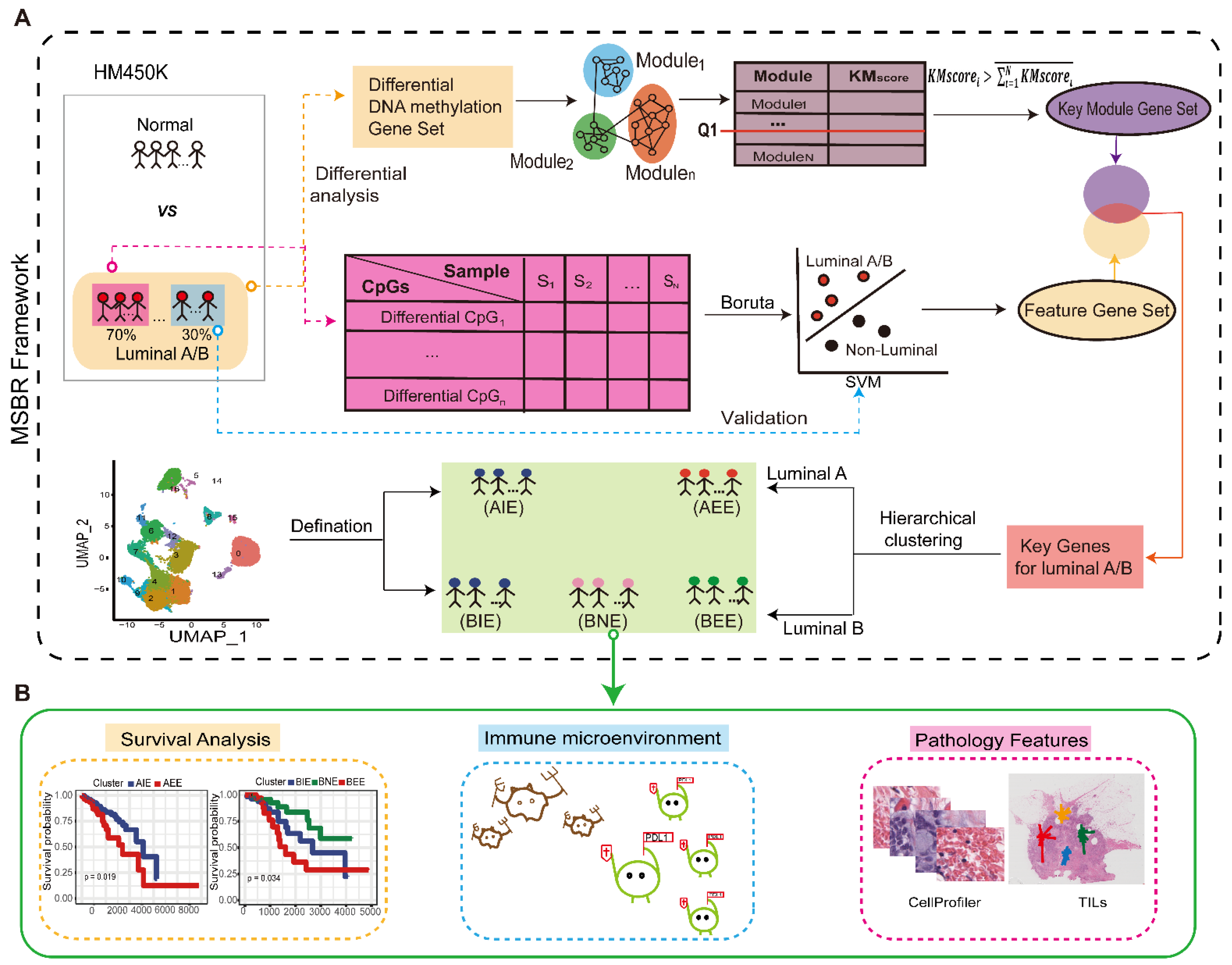 Ijms 23 12747 g001 Ijms 23 12747 g001