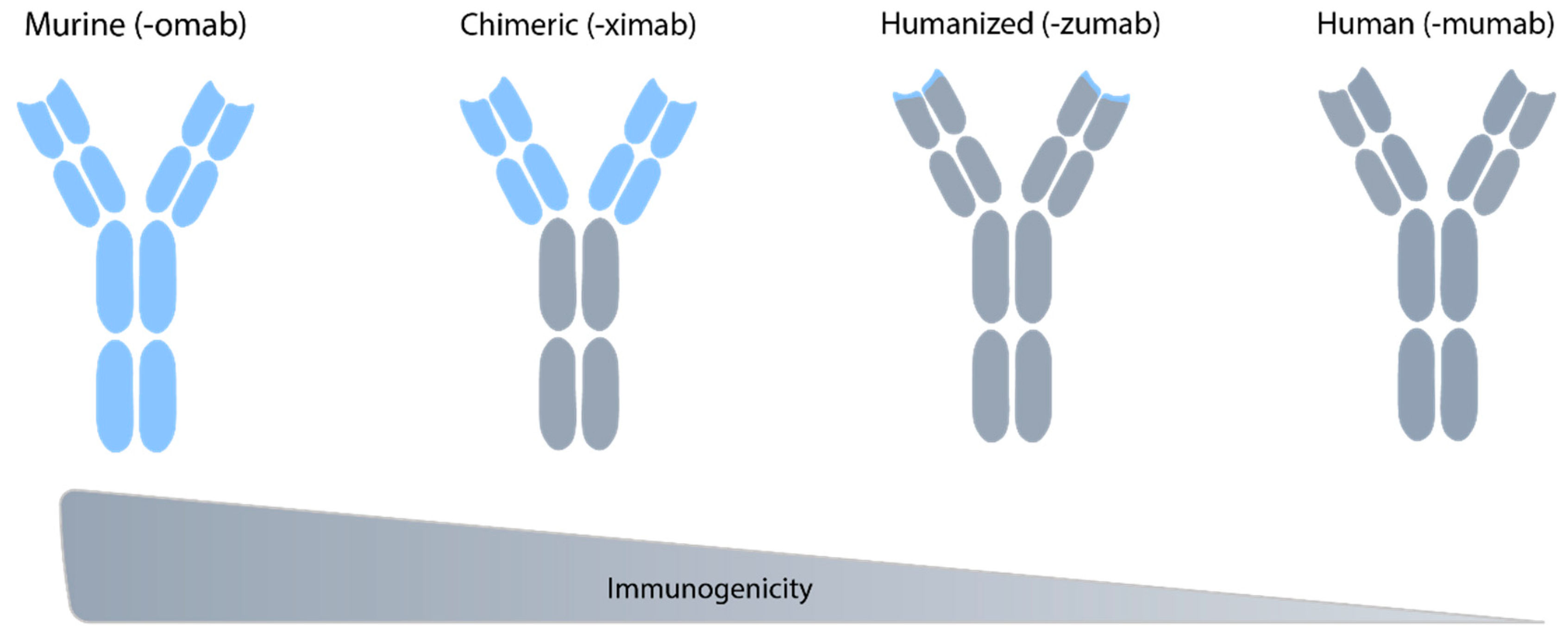 IJMS Free FullText Review of the Existing Translational