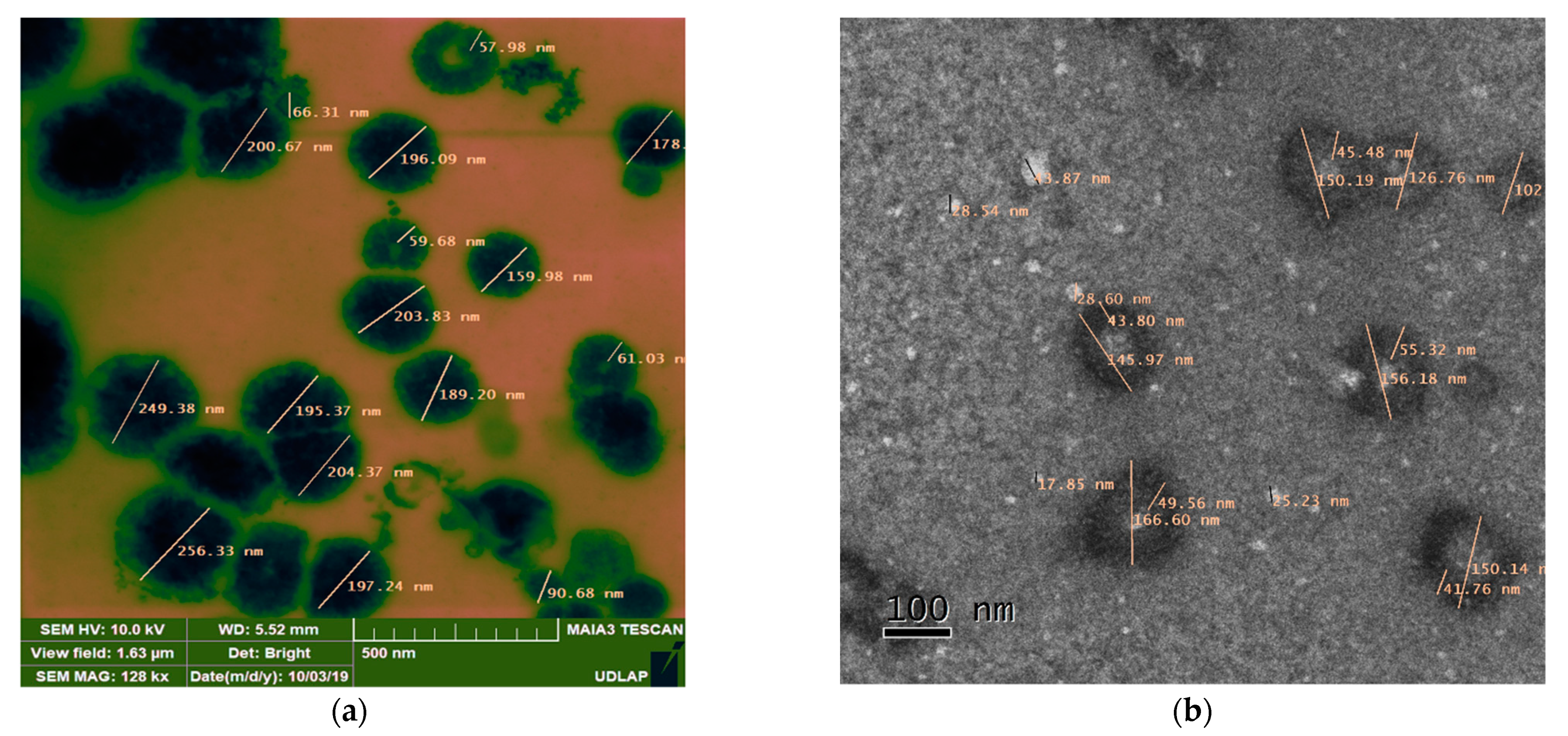 Ijms 23 12756 g003 Ijms 23 12756 g003