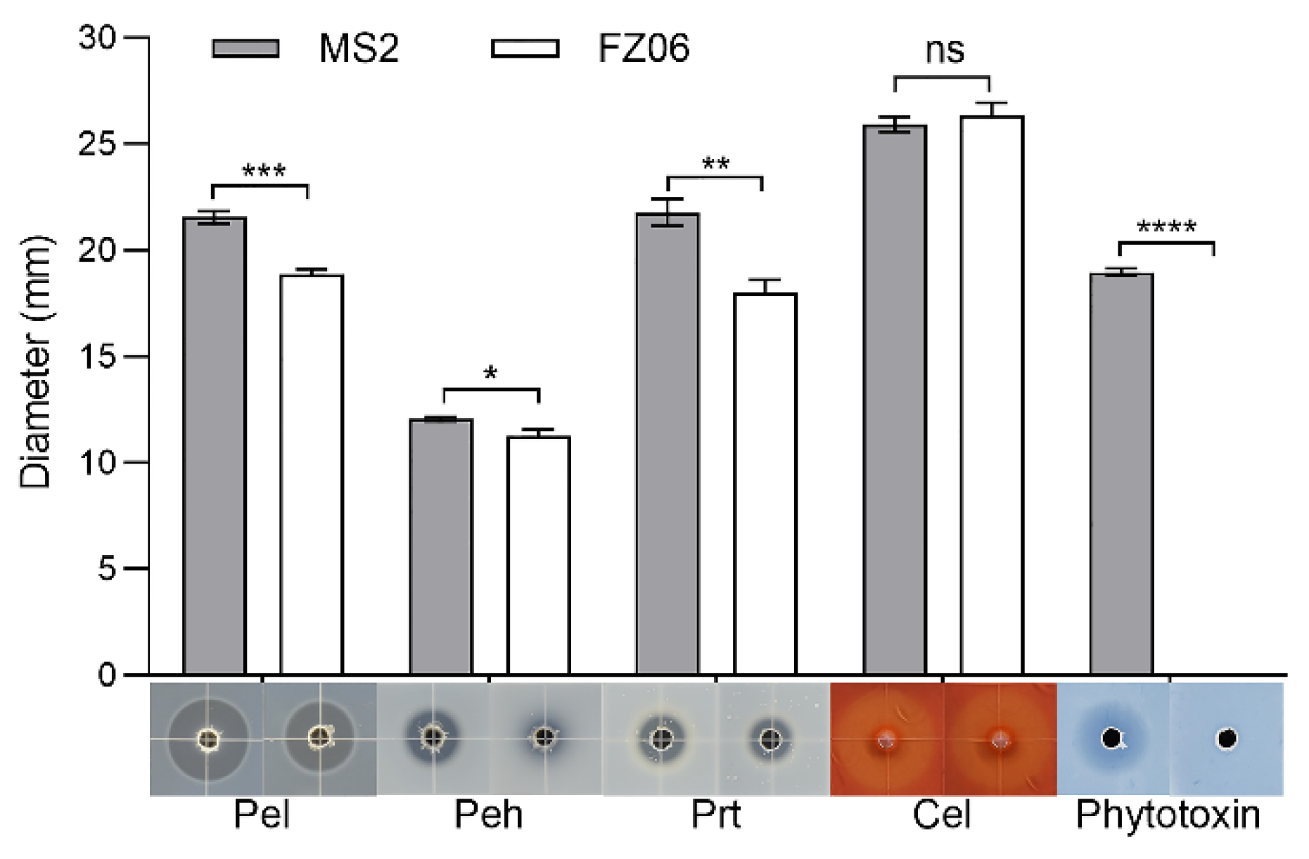 Ijms 23 12758 g001 Ijms 23 12758 g001