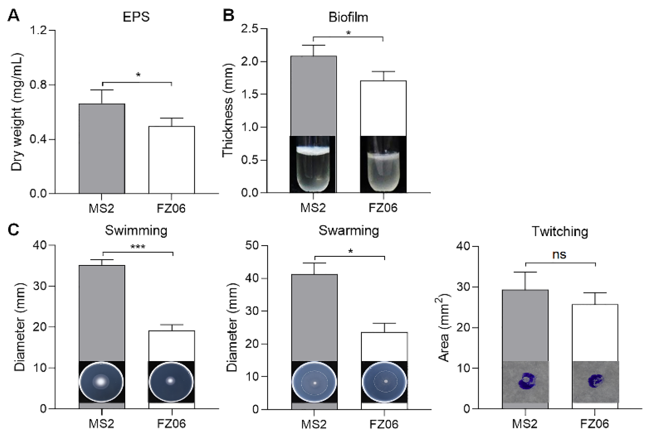 Ijms 23 12758 g002 Ijms 23 12758 g002