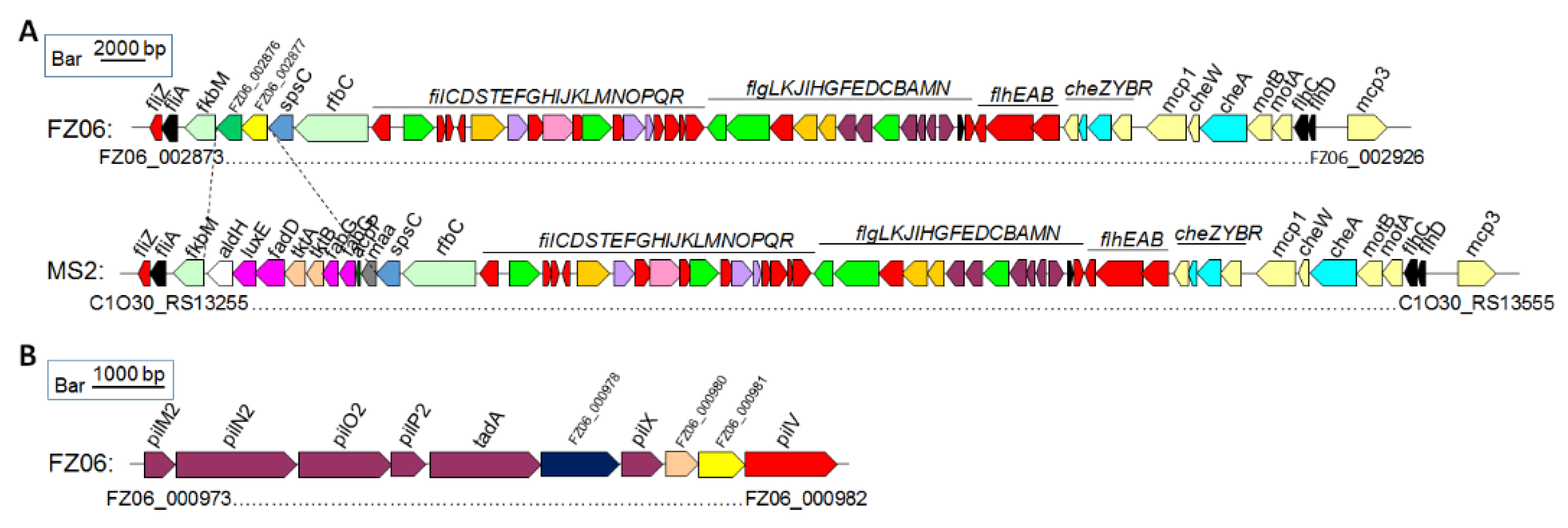 Ijms 23 12758 g006 Ijms 23 12758 g006