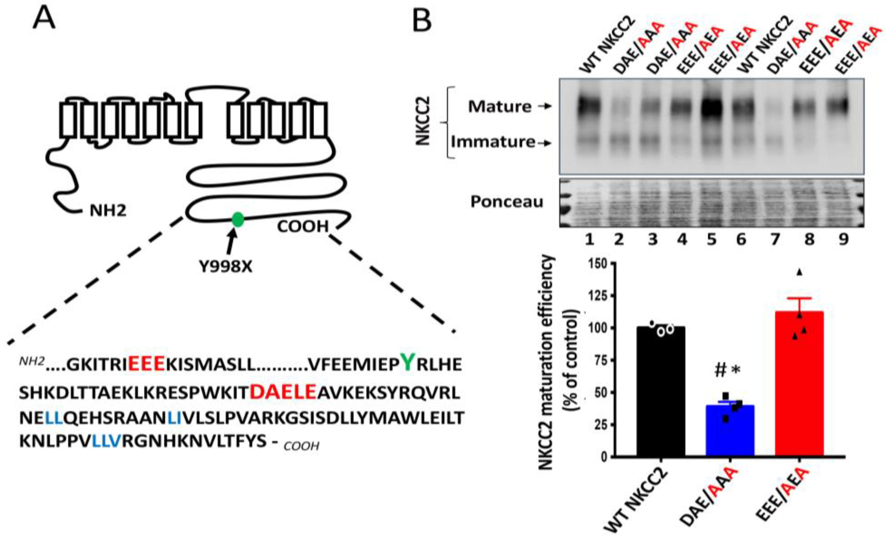 Ijms 23 12761 g002 Ijms 23 12761 g002