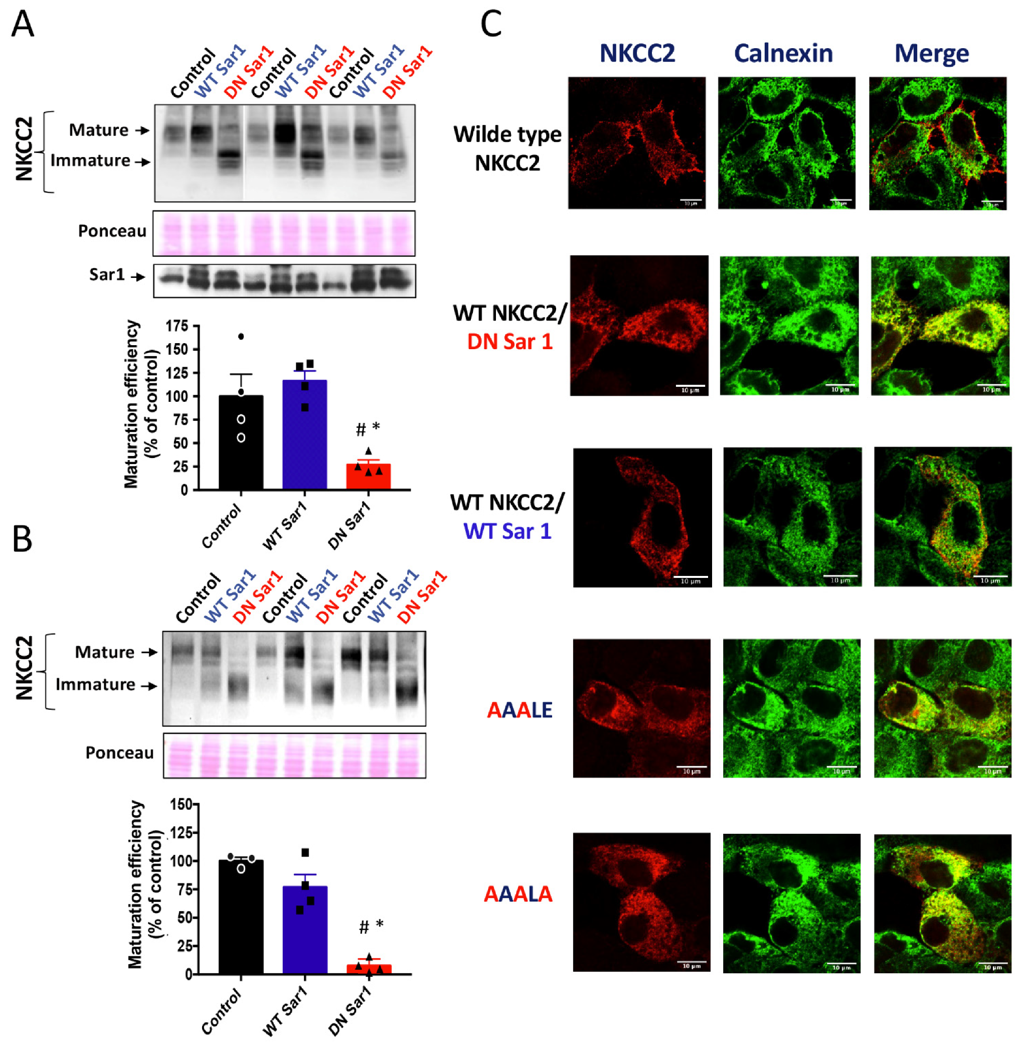 Ijms 23 12761 g006 Ijms 23 12761 g006