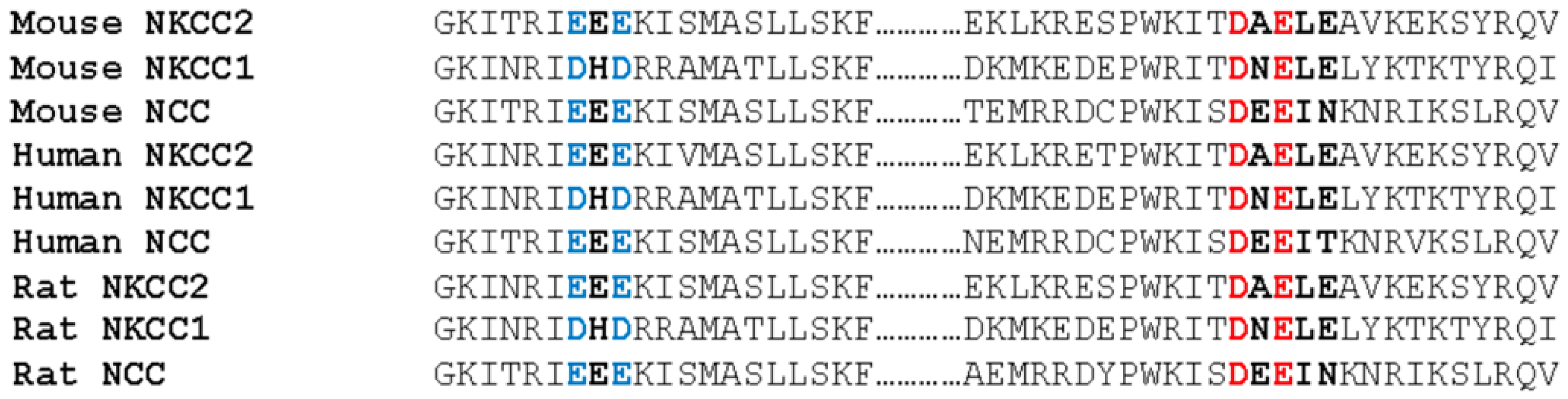 Ijms 23 12761 g007 Ijms 23 12761 g007