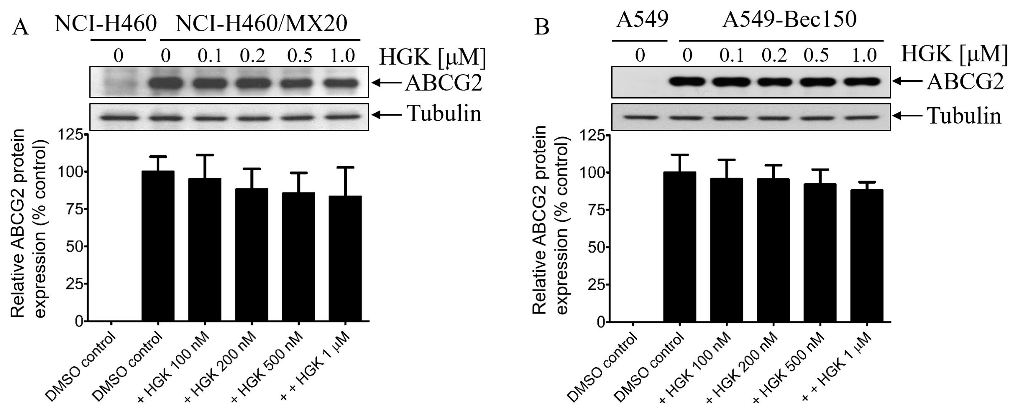 Ijms 23 12763 g005 Ijms 23 12763 g005