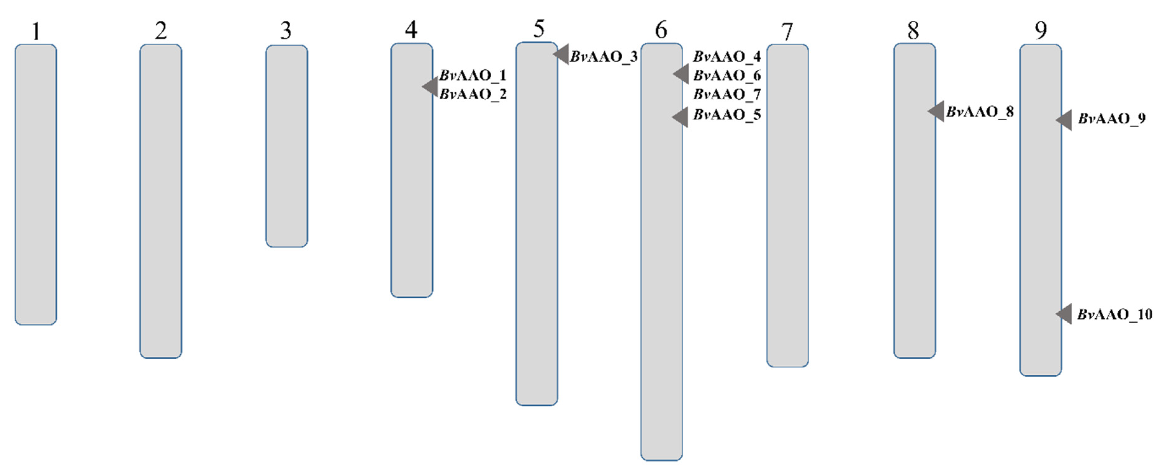 Ijms 23 12773 g001 Ijms 23 12773 g001