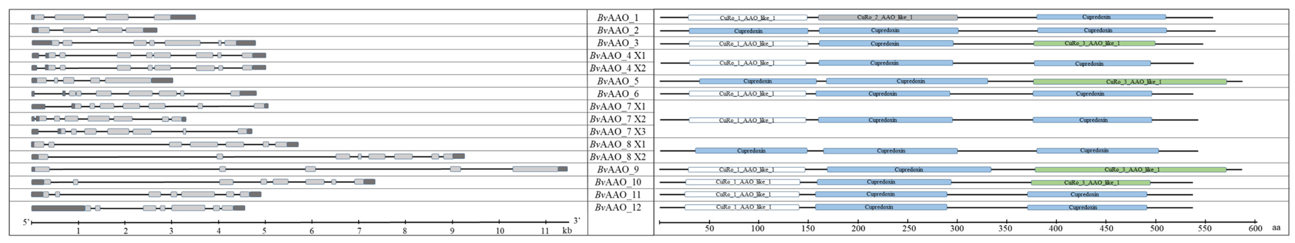 Ijms 23 12773 g002 Ijms 23 12773 g002