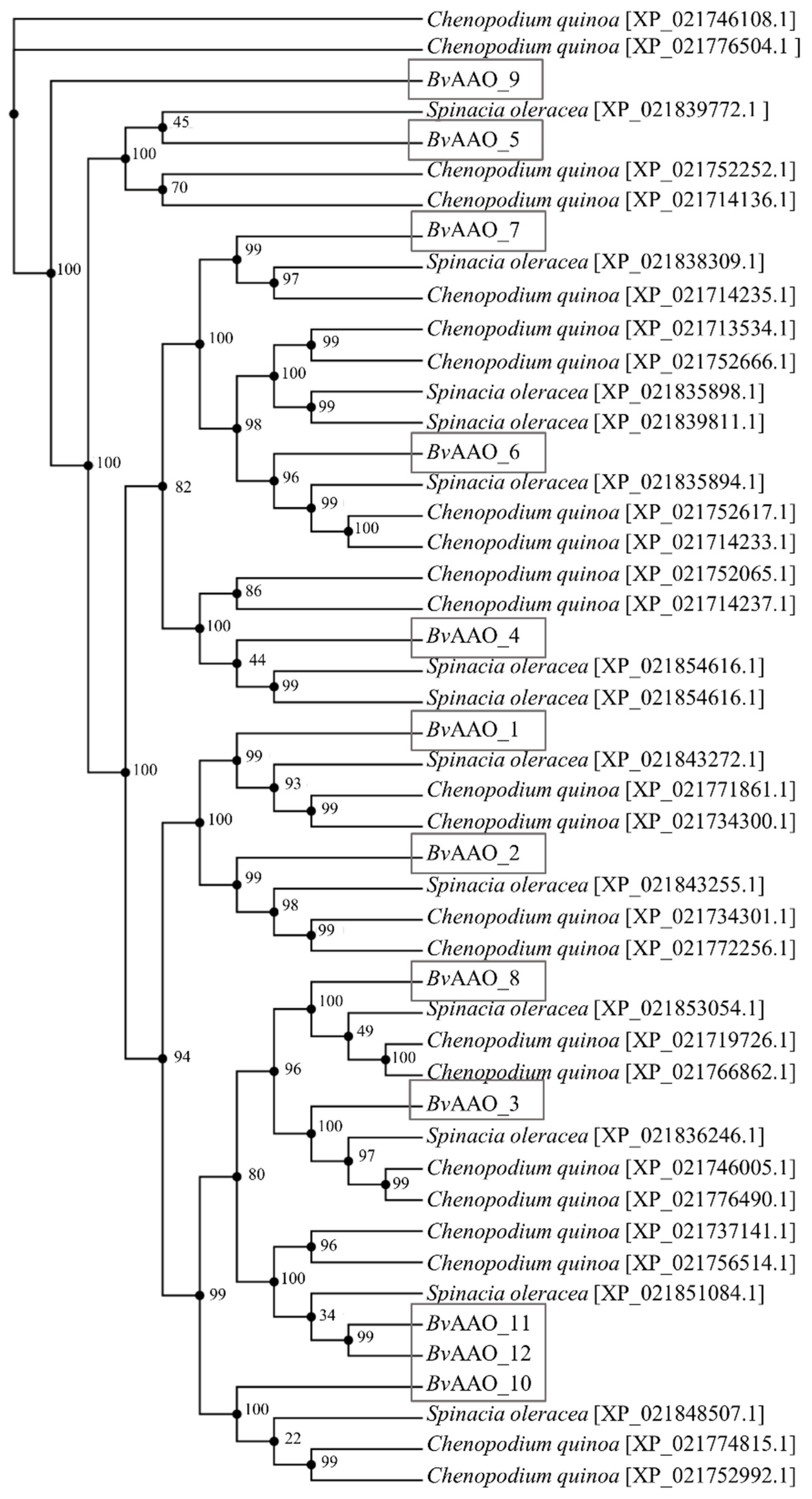 Ijms 23 12773 g003 Ijms 23 12773 g003