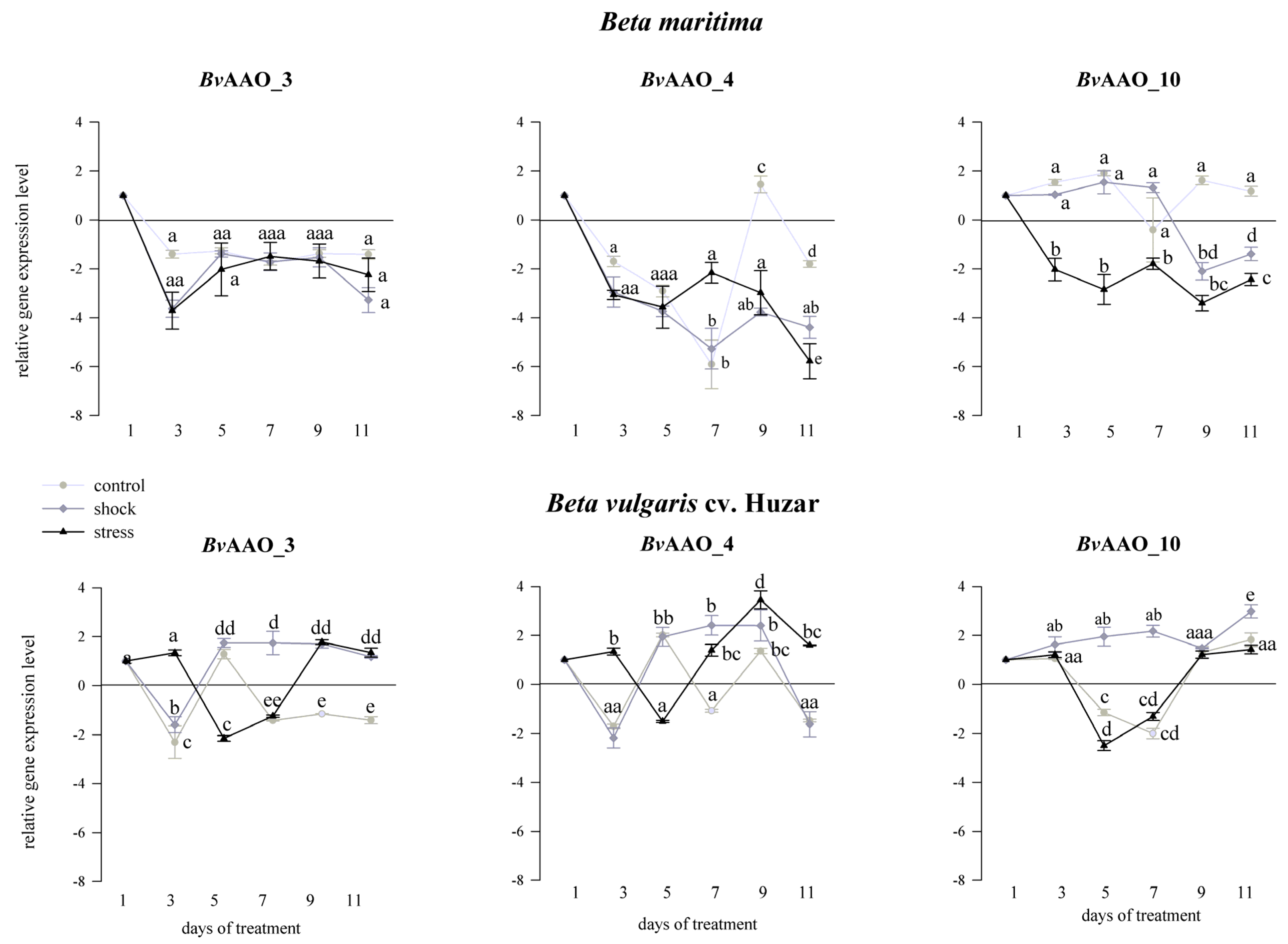 Ijms 23 12773 g004 Ijms 23 12773 g004