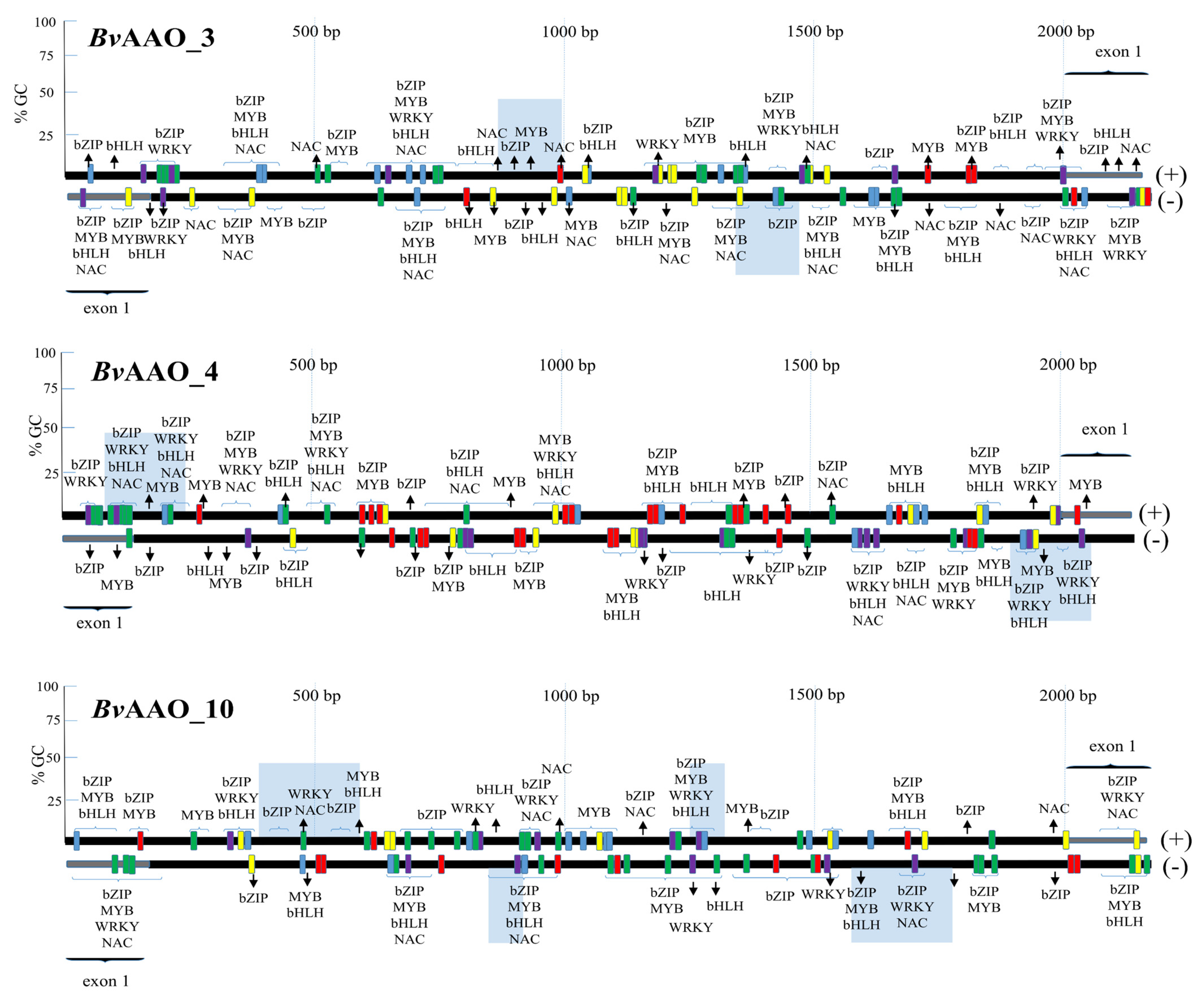 Ijms 23 12773 g006 Ijms 23 12773 g006