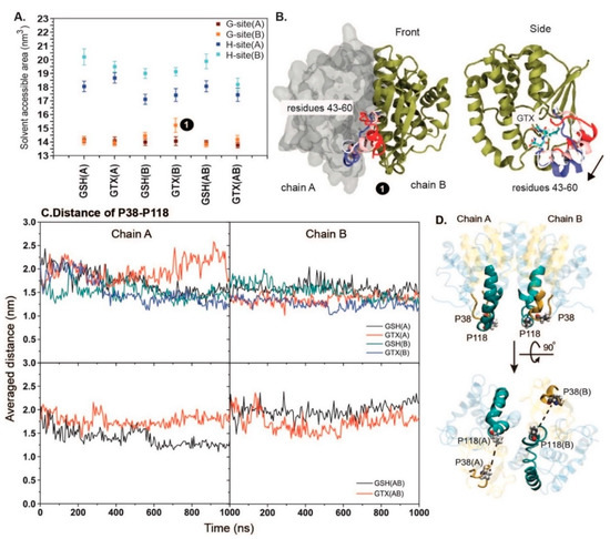 hexyl glutathione Observing How and S-Hexyl Glutathione Bind to Glutathione S-Transferase from Rhipicephalus (Boophilus) microplus Bath And Body Pakistan
