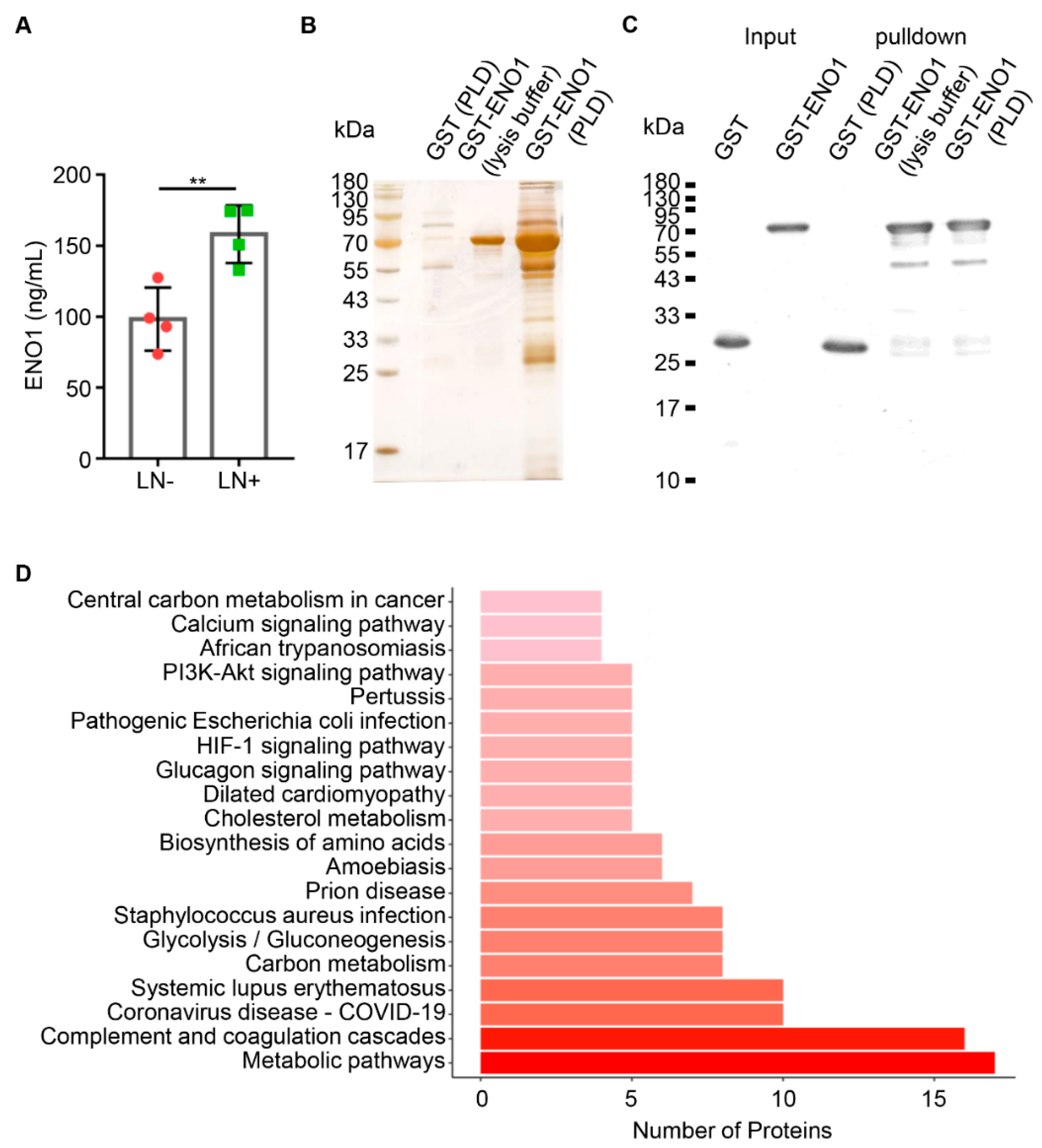 Ijms 23 12777 g002 Ijms 23 12777 g002