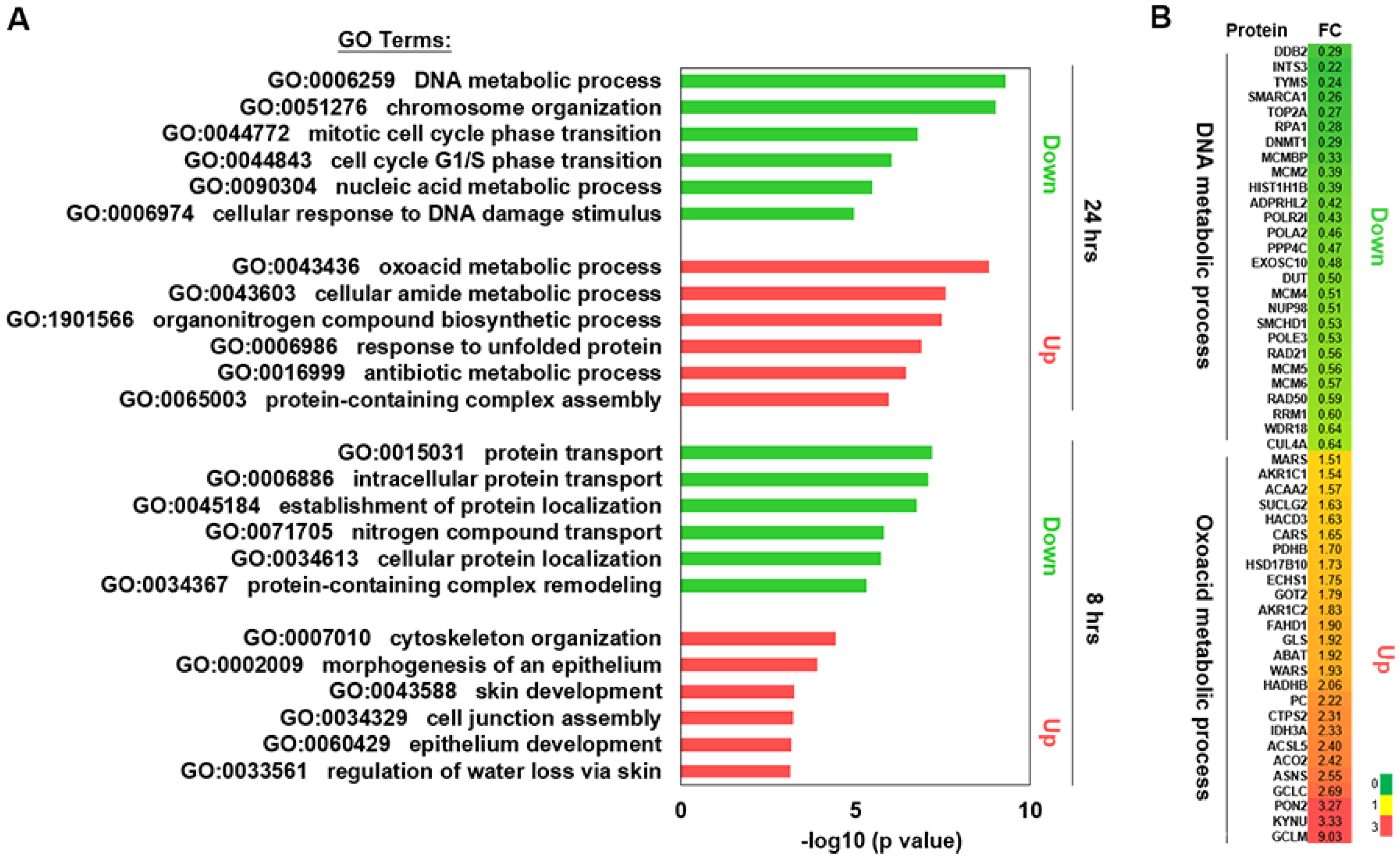 Ijms 23 12779 g002 Ijms 23 12779 g002