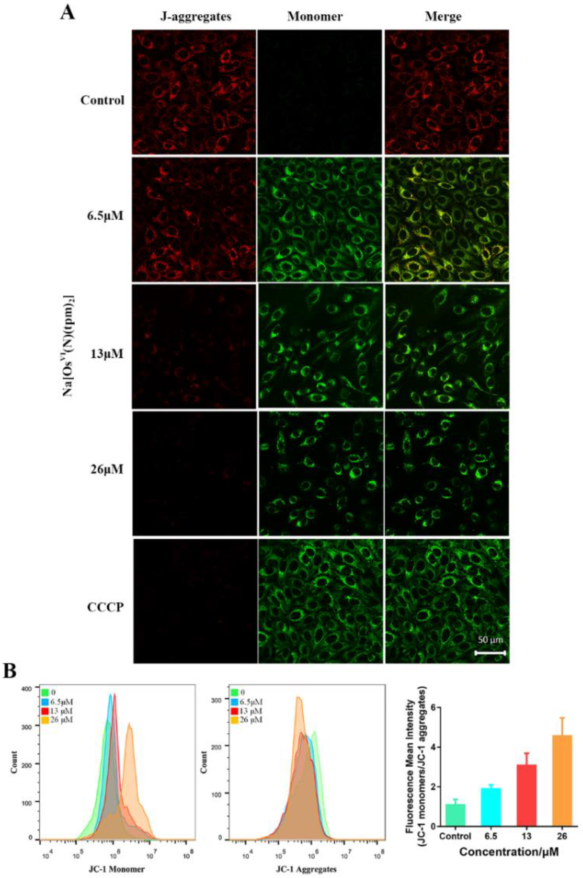 Ijms 23 12779 g005 Ijms 23 12779 g005