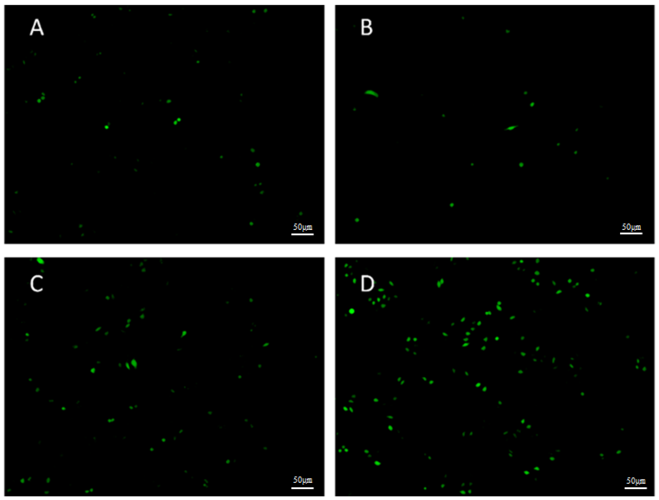 Ijms 23 12779 g006 Ijms 23 12779 g006