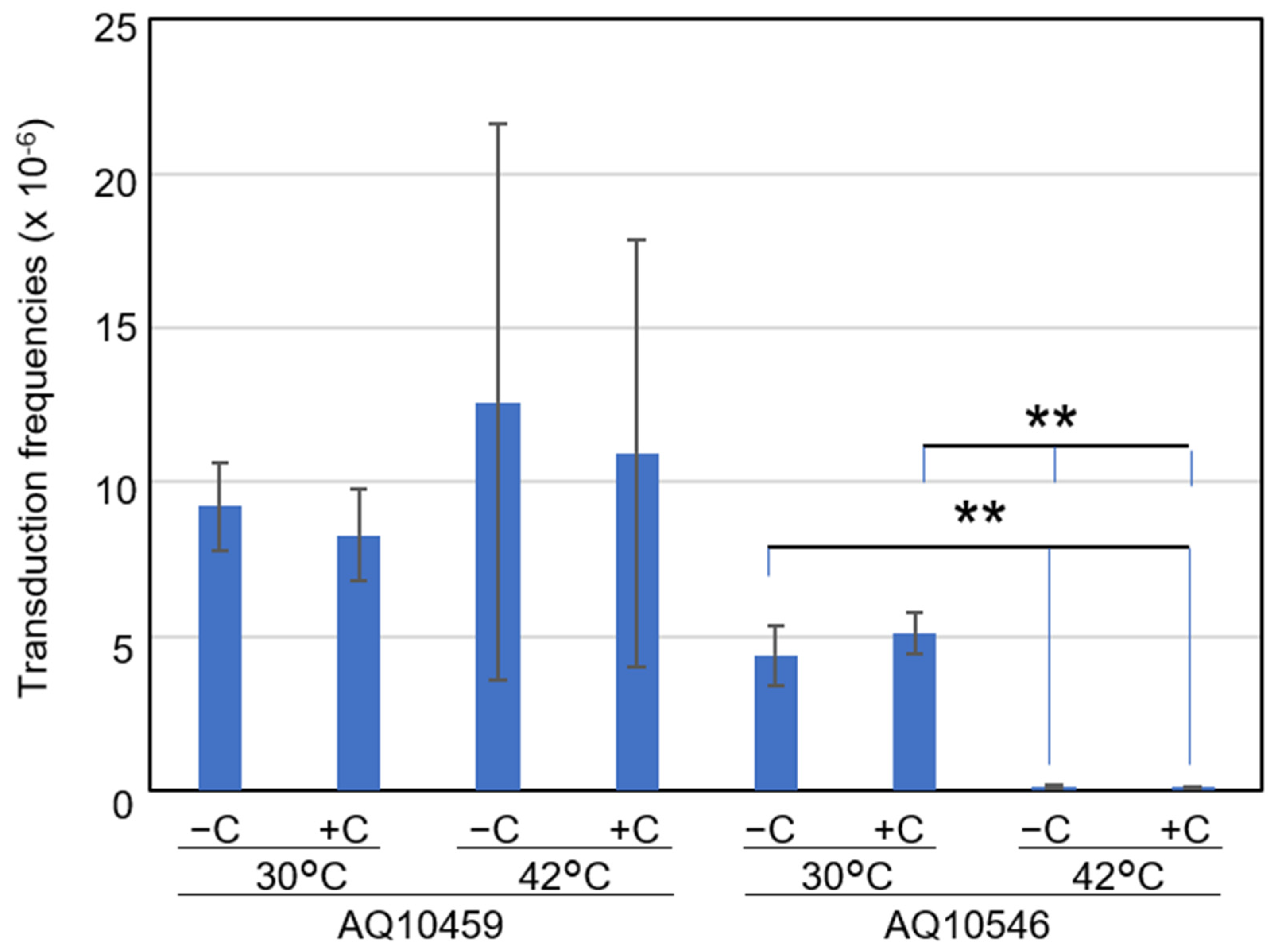 Ijms 23 12786 g008 Ijms 23 12786 g008