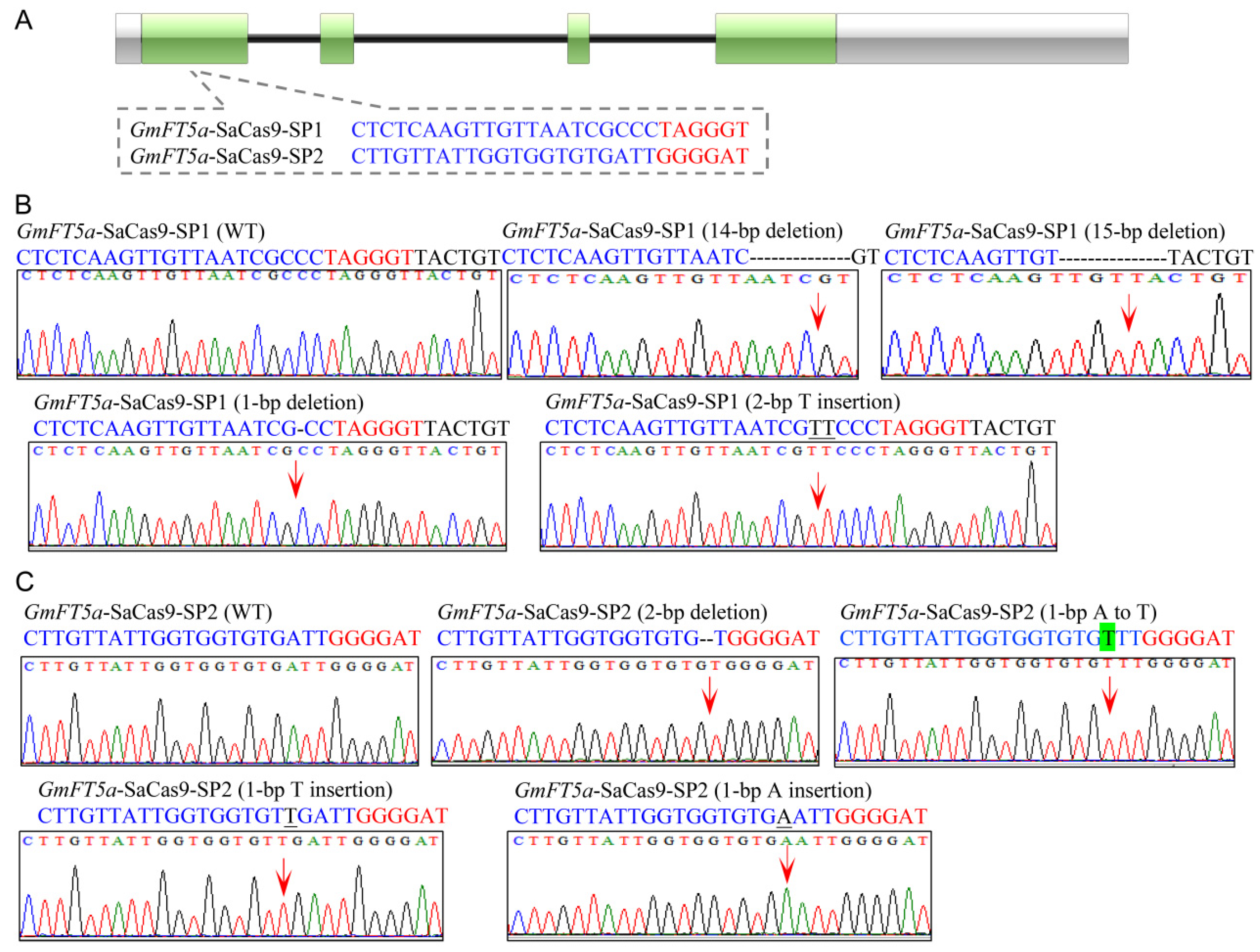 Ijms 23 12789 g002 Ijms 23 12789 g002