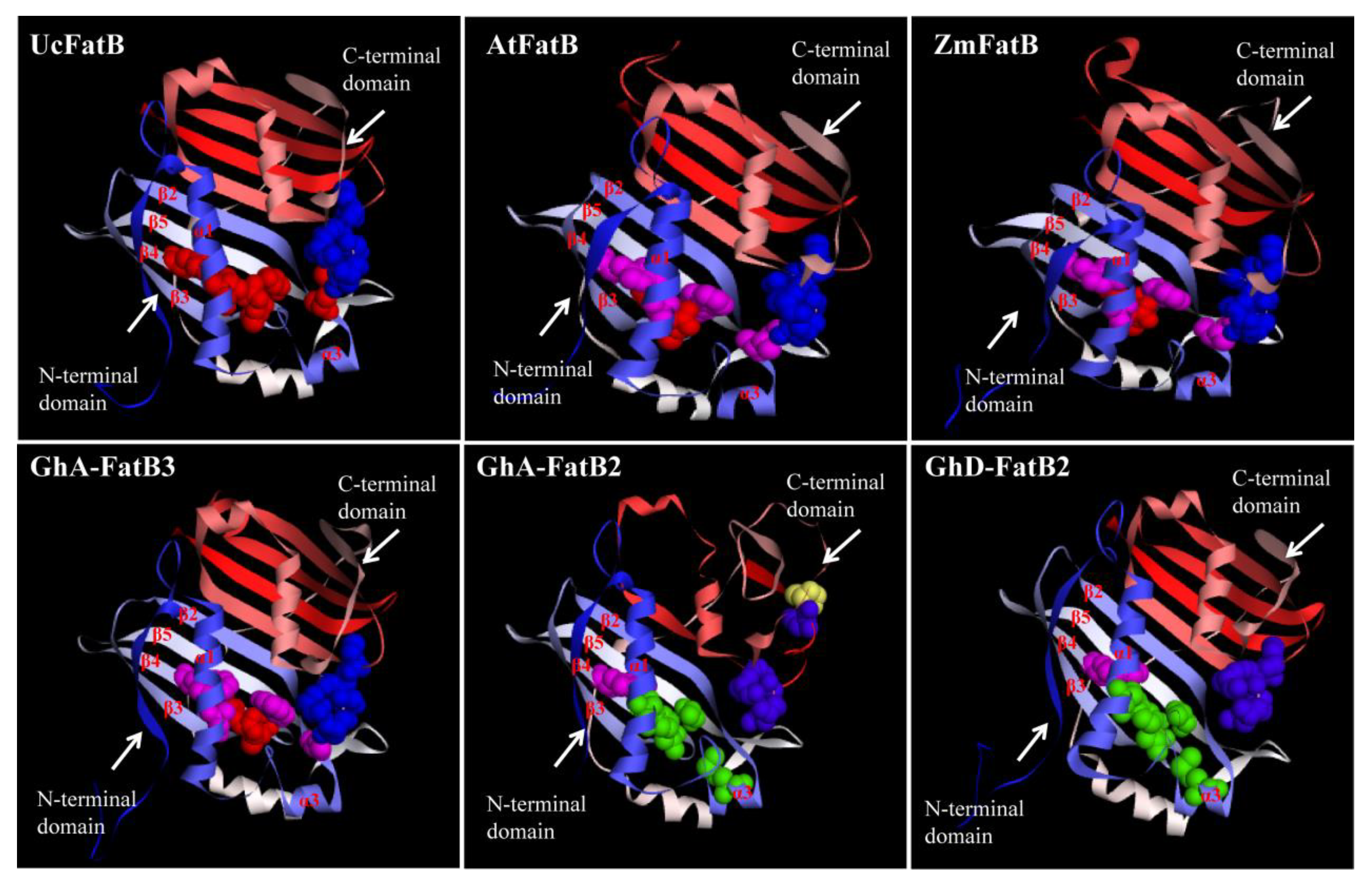 Ijms 23 12805 g003 Ijms 23 12805 g003