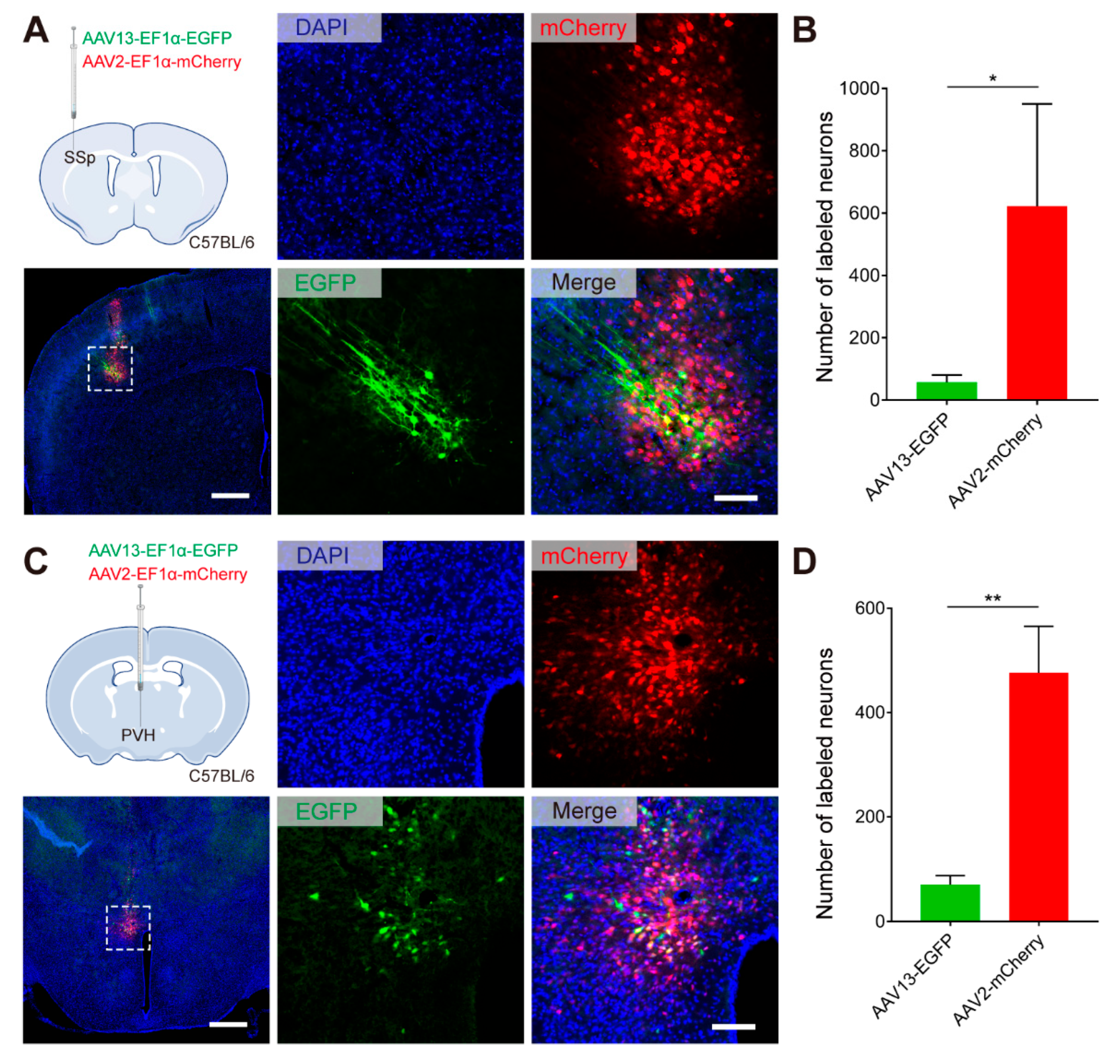 Ijms 23 12806 g002 Ijms 23 12806 g002