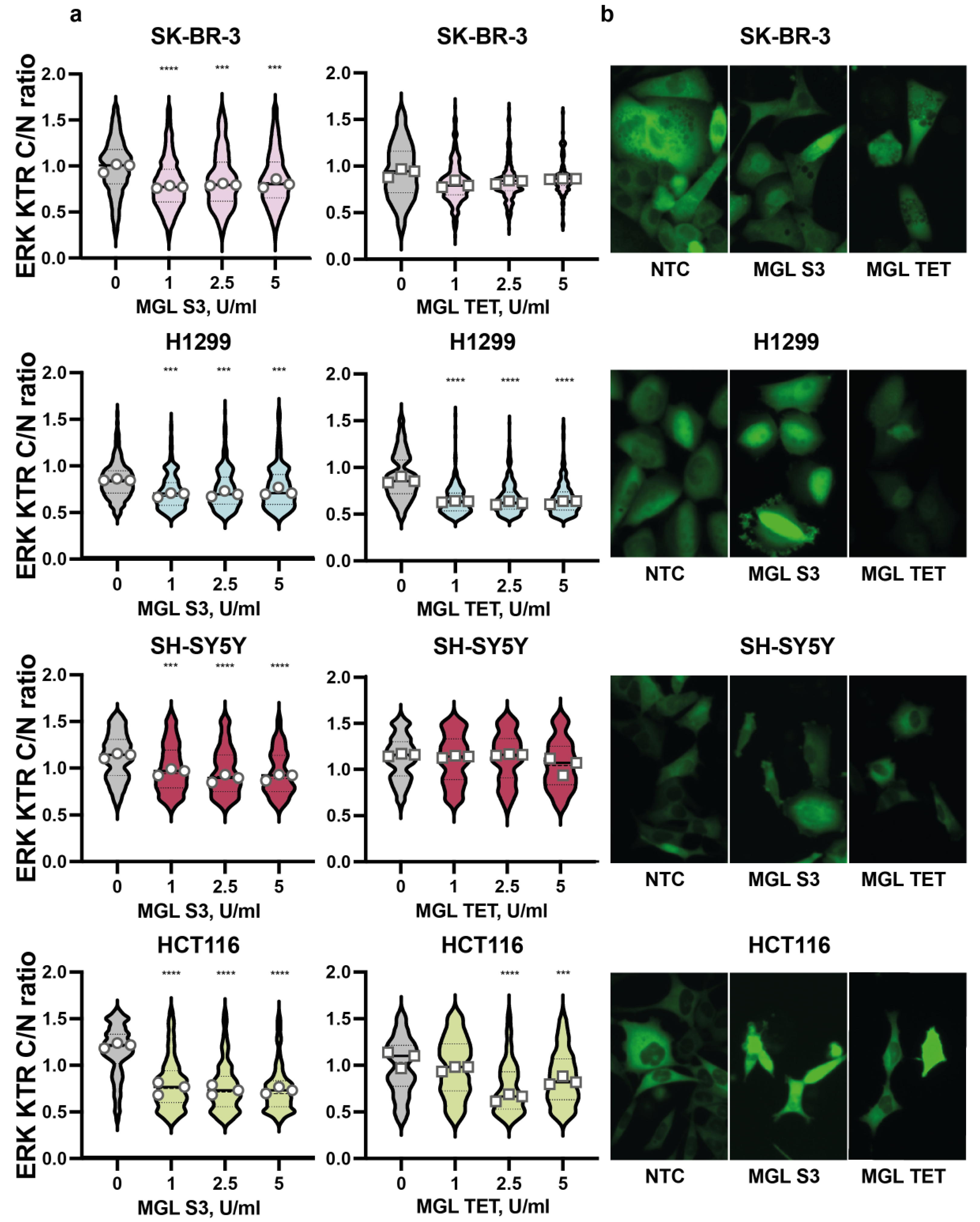 Ijms 23 12807 g003 Ijms 23 12807 g003