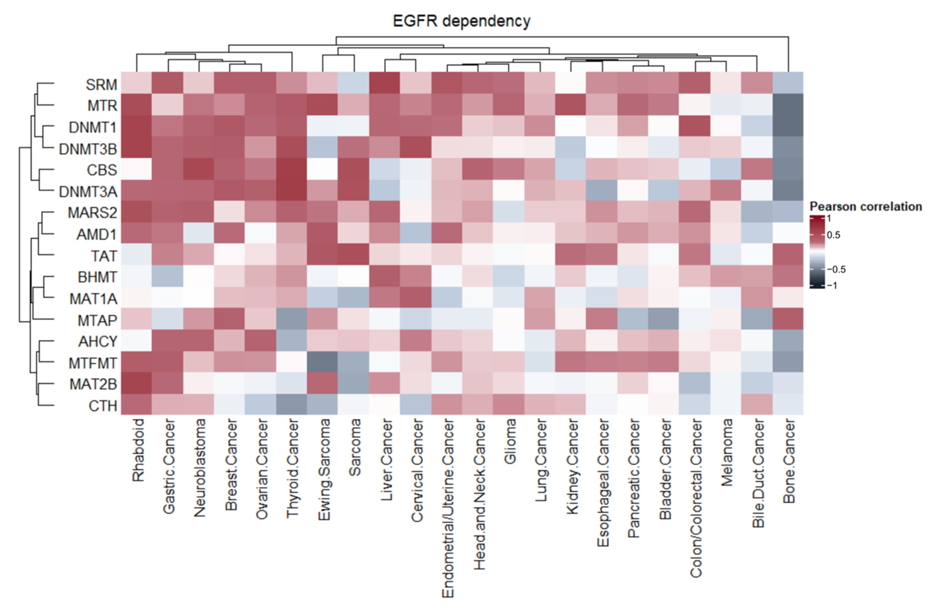 Ijms 23 12807 g005 Ijms 23 12807 g005