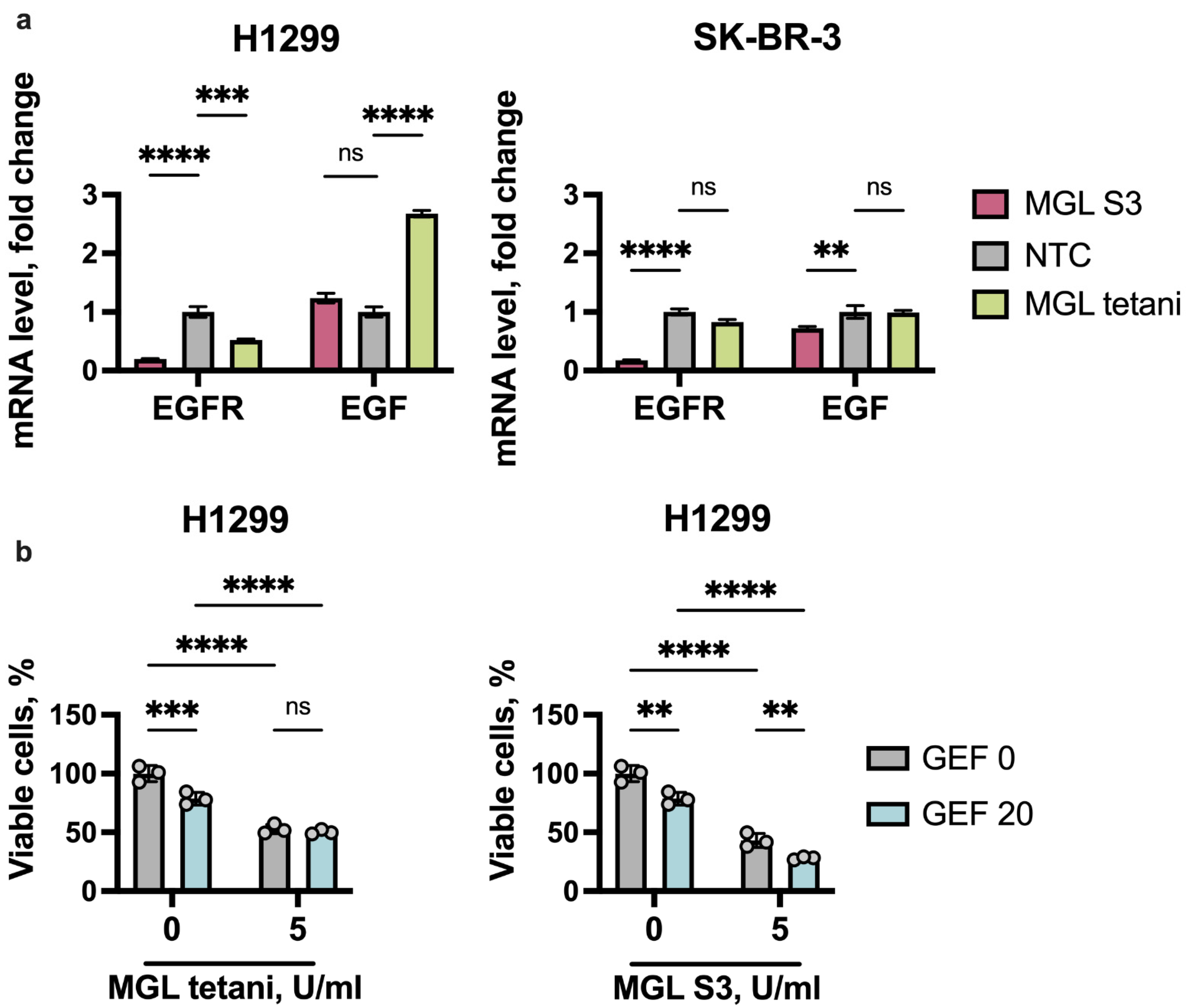 Ijms 23 12807 g006 Ijms 23 12807 g006