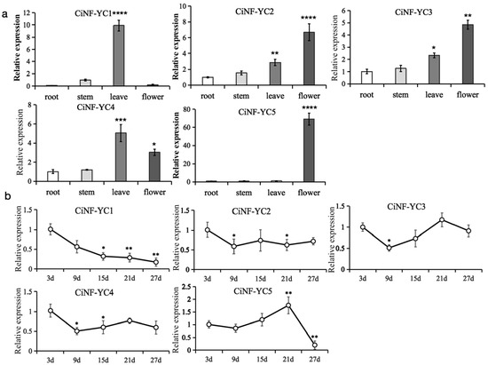 Genome-Wide Characterization of Chrysanthemum indicum