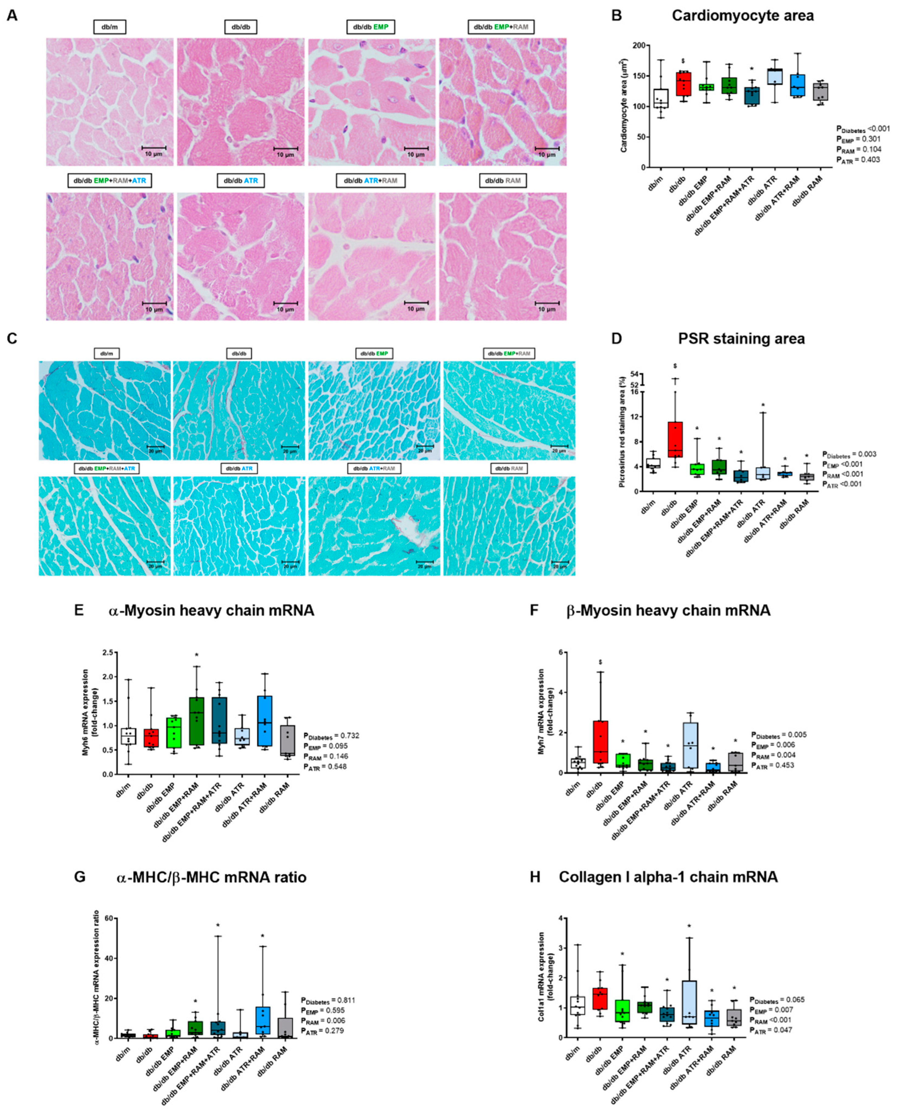 Ijms 23 12823 g004 Ijms 23 12823 g004