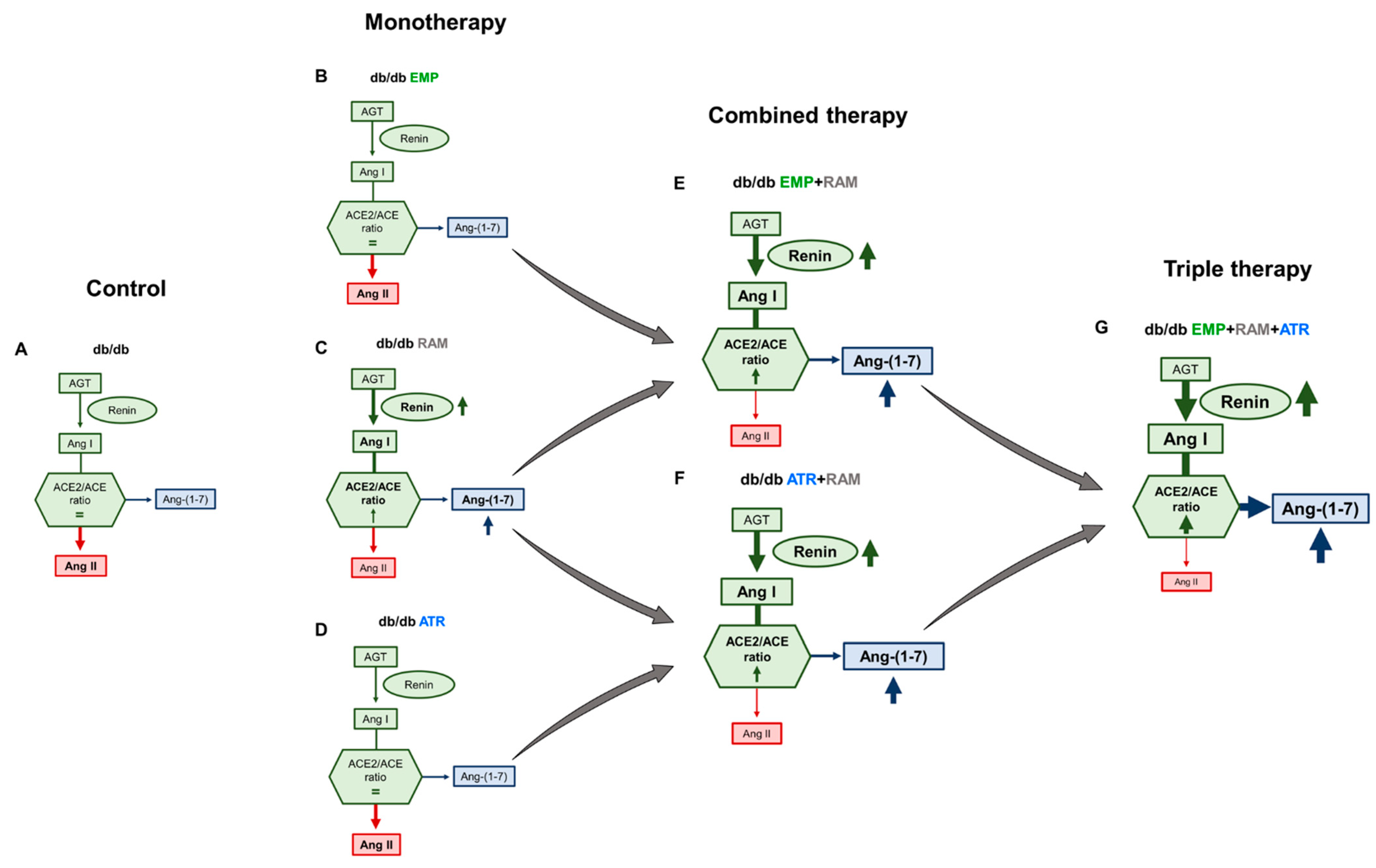 Ijms 23 12823 g007 Ijms 23 12823 g007