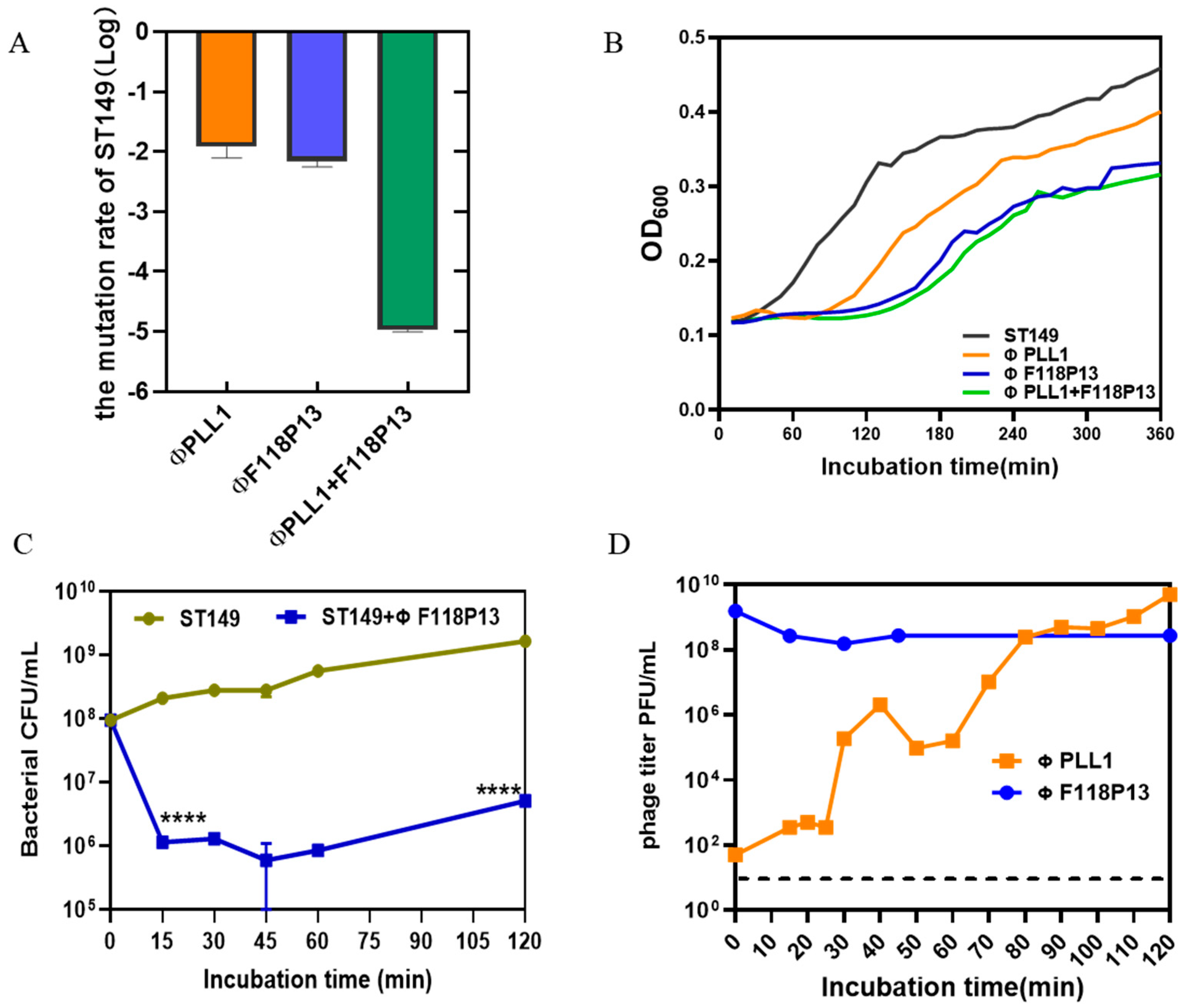 Ijms 23 12830 g002 Ijms 23 12830 g002