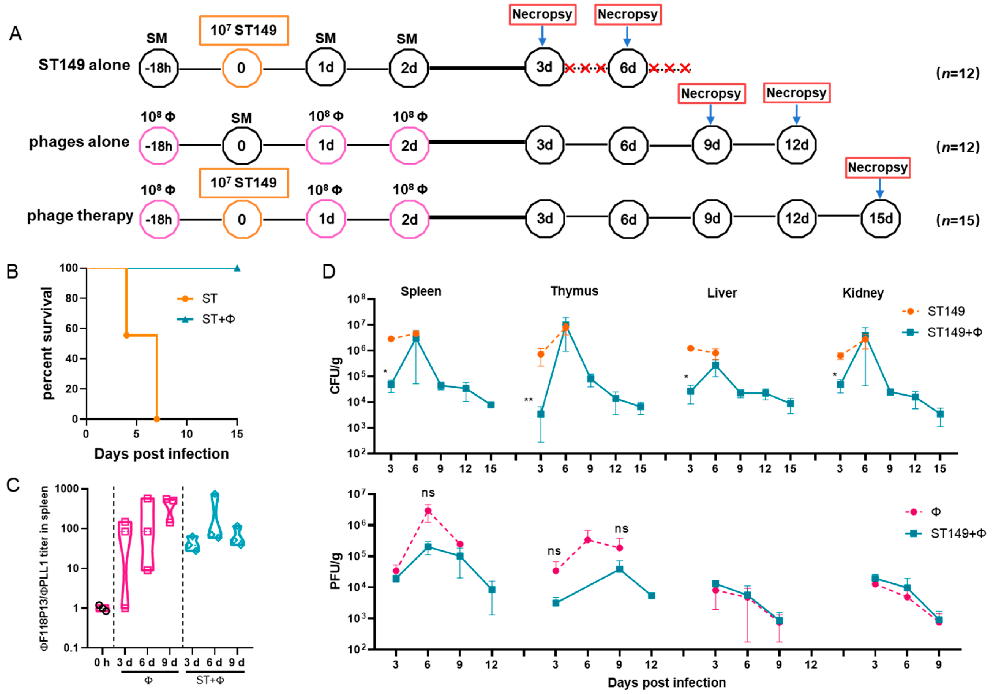 Ijms 23 12830 g003 Ijms 23 12830 g003