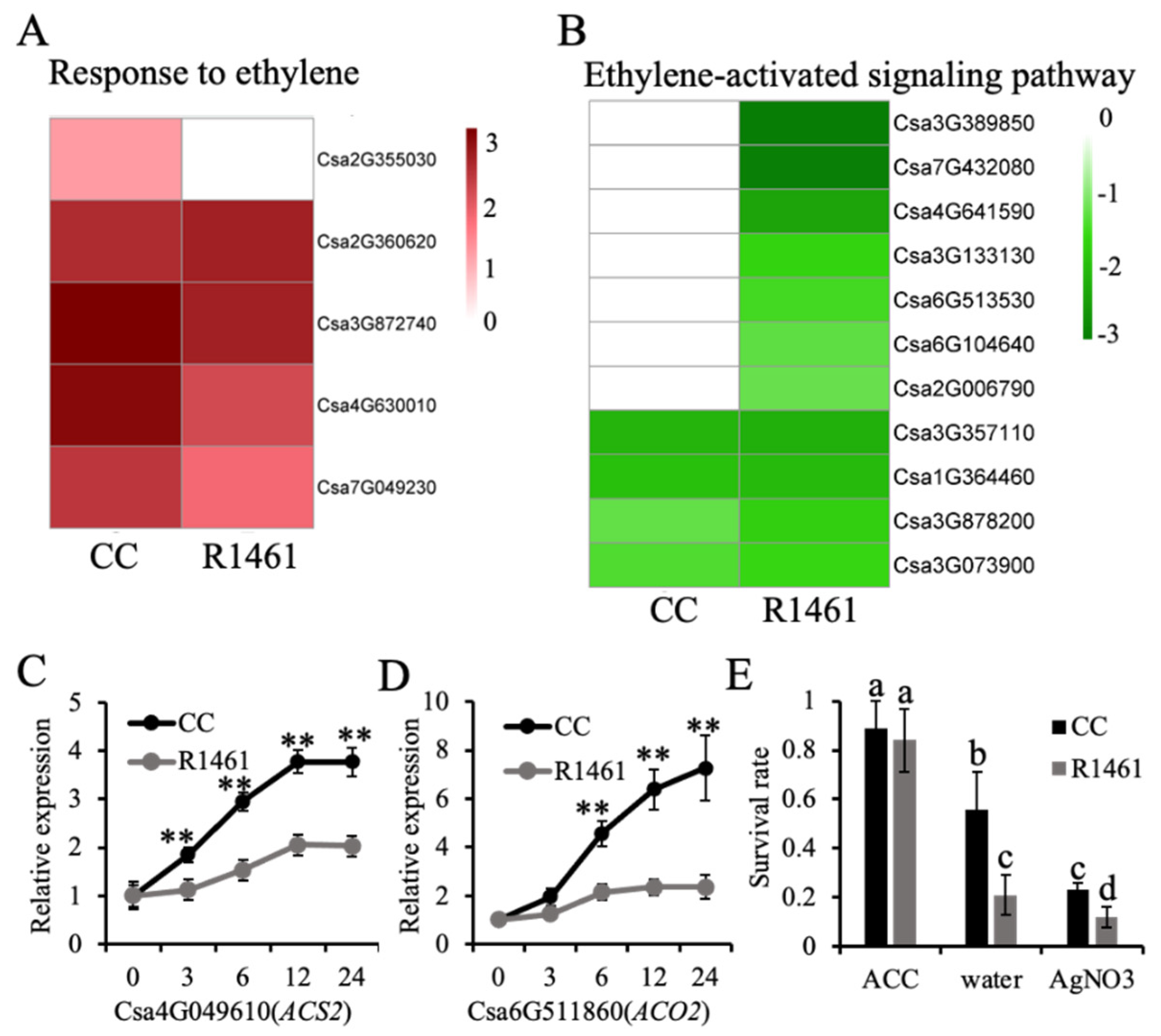 Ijms 23 12834 g003 Ijms 23 12834 g003