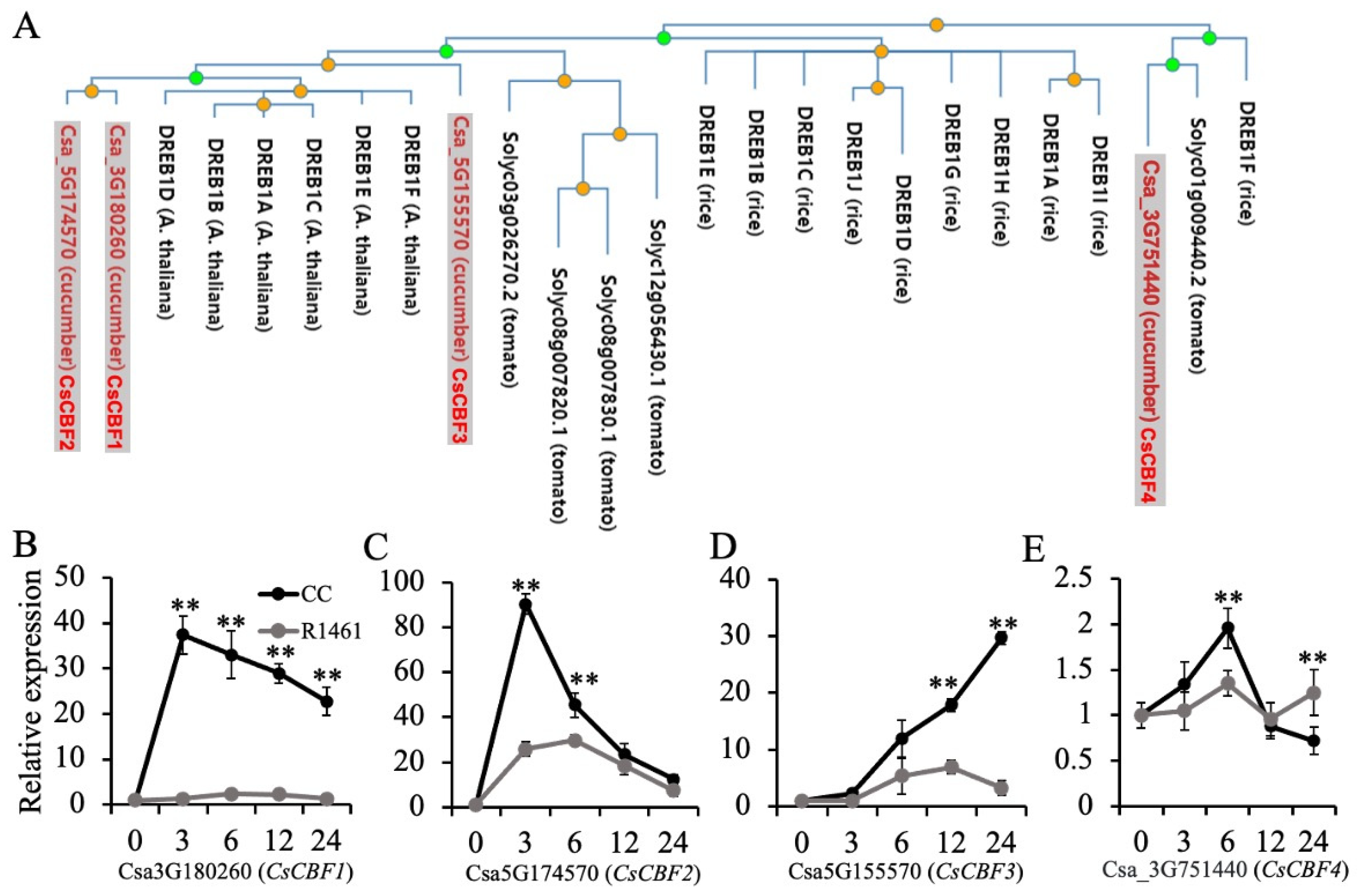 Ijms 23 12834 g004 Ijms 23 12834 g004